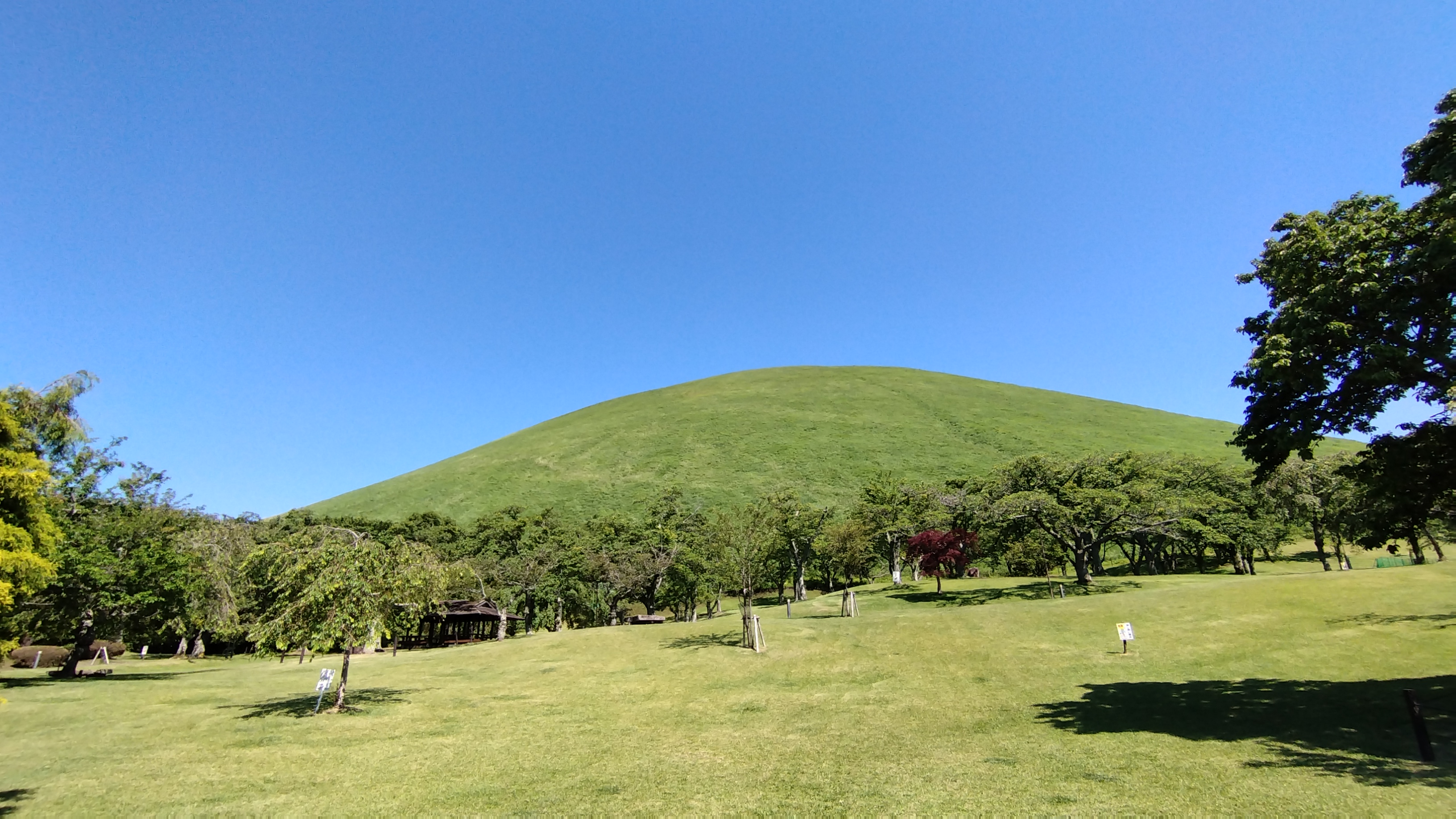 ◆　大室山　◆　お車で１０分
