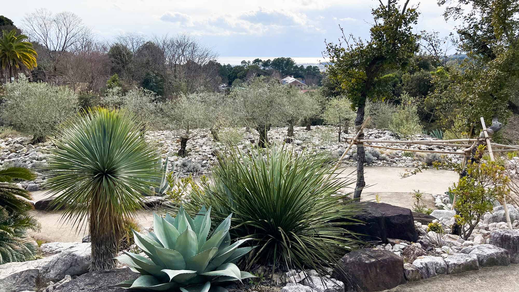 ・【周辺/ボルティゲラの庭】北川村「モネの庭」だけのオリジナル。地中海の光と空気に包まれるような体験