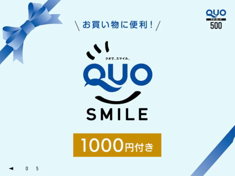 QUO1000プラン