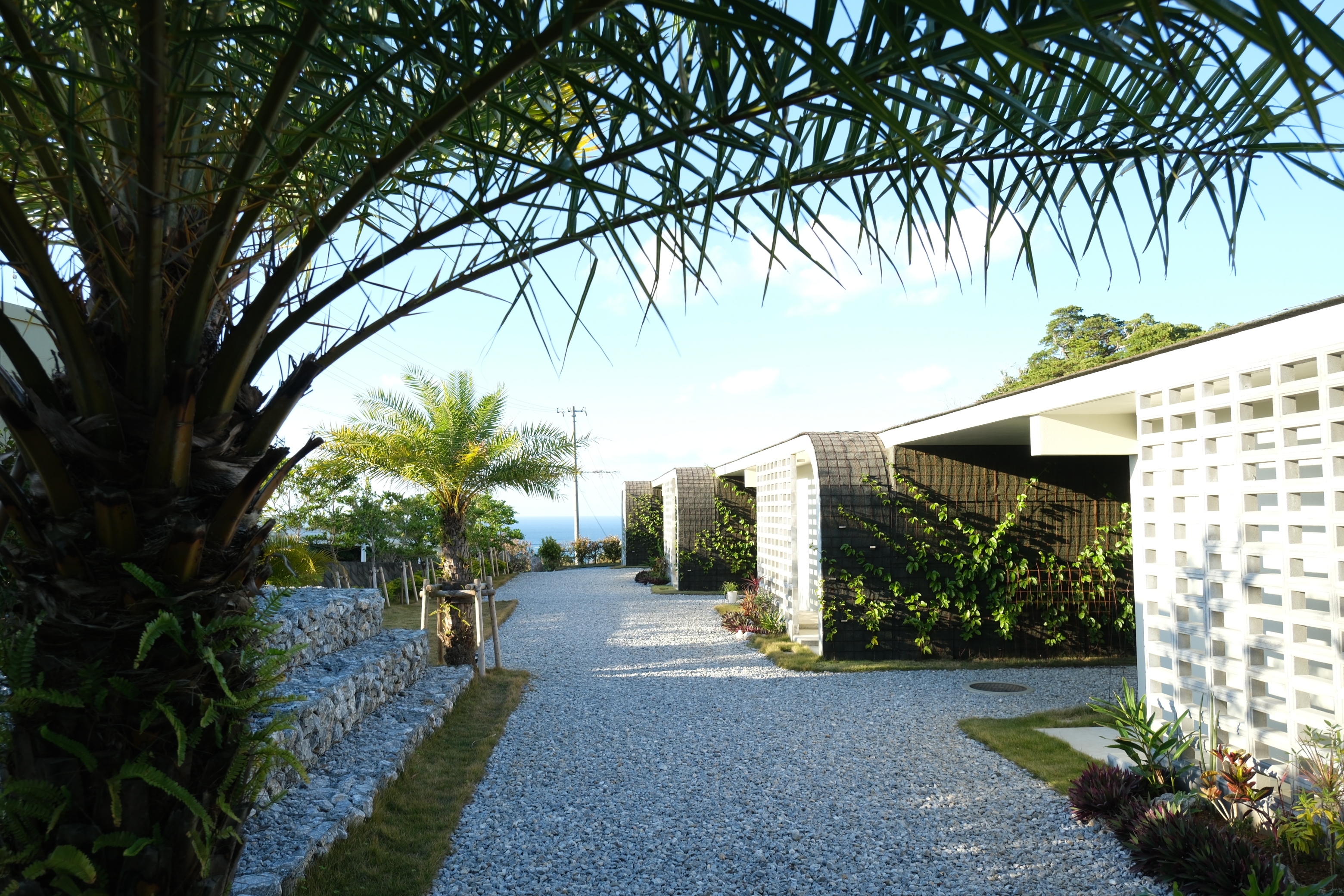 植物に囲まれたアプローチ