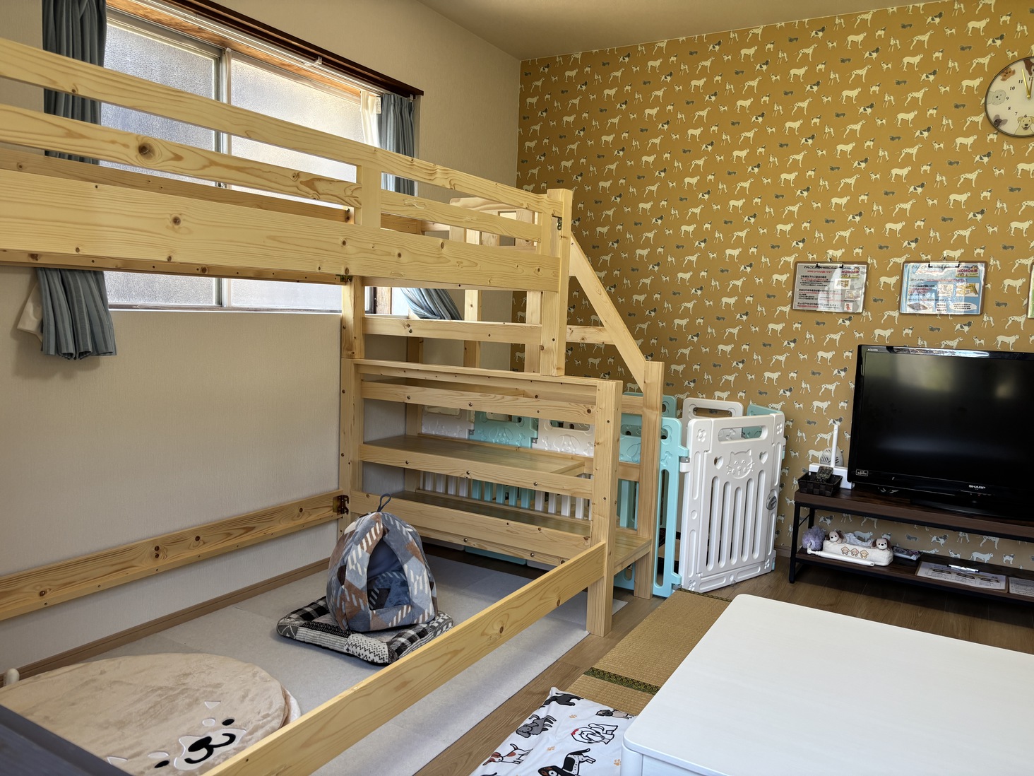 momoの部屋（わんこ広場）