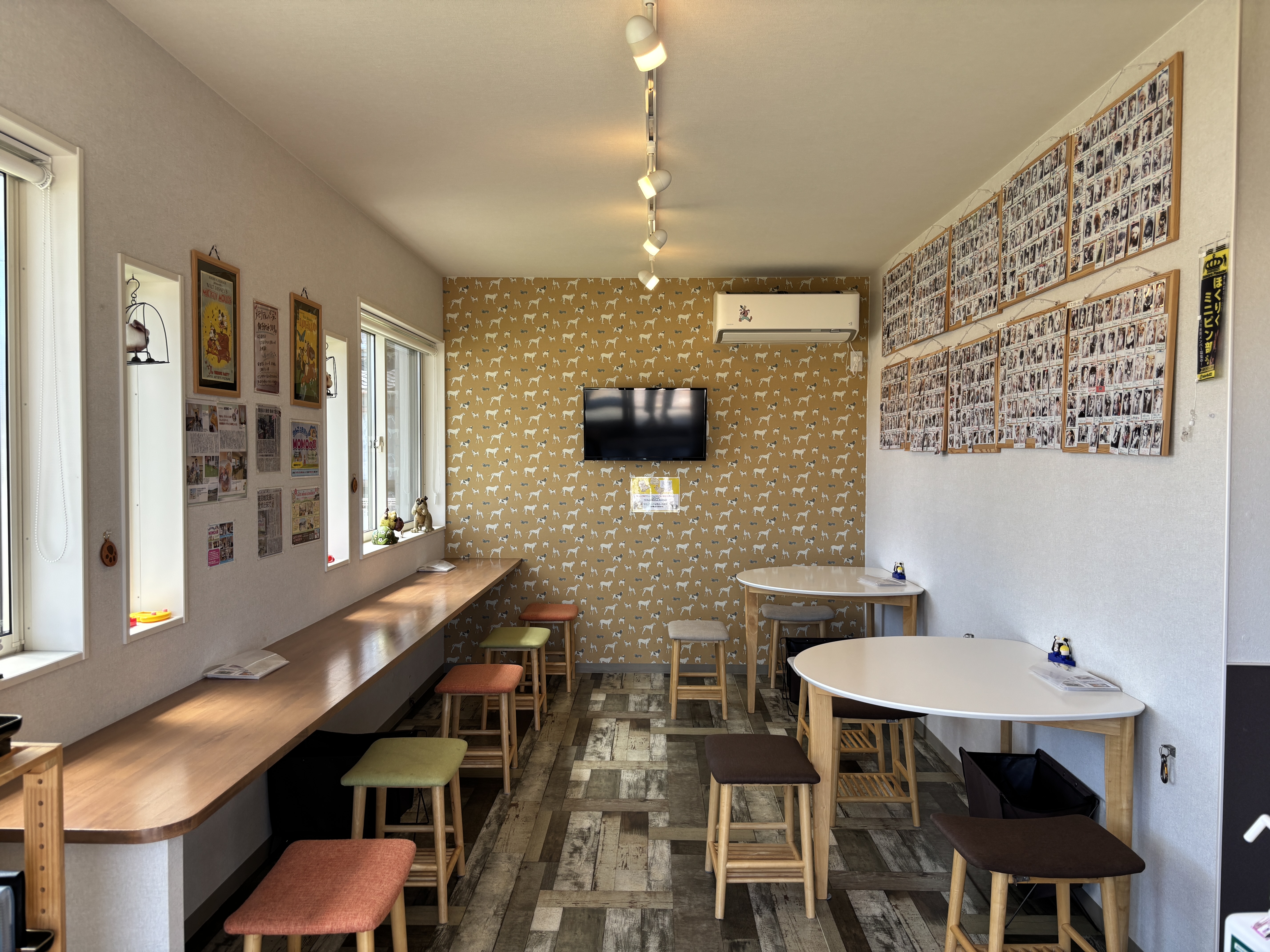 わんちゃん同伴カフェ1