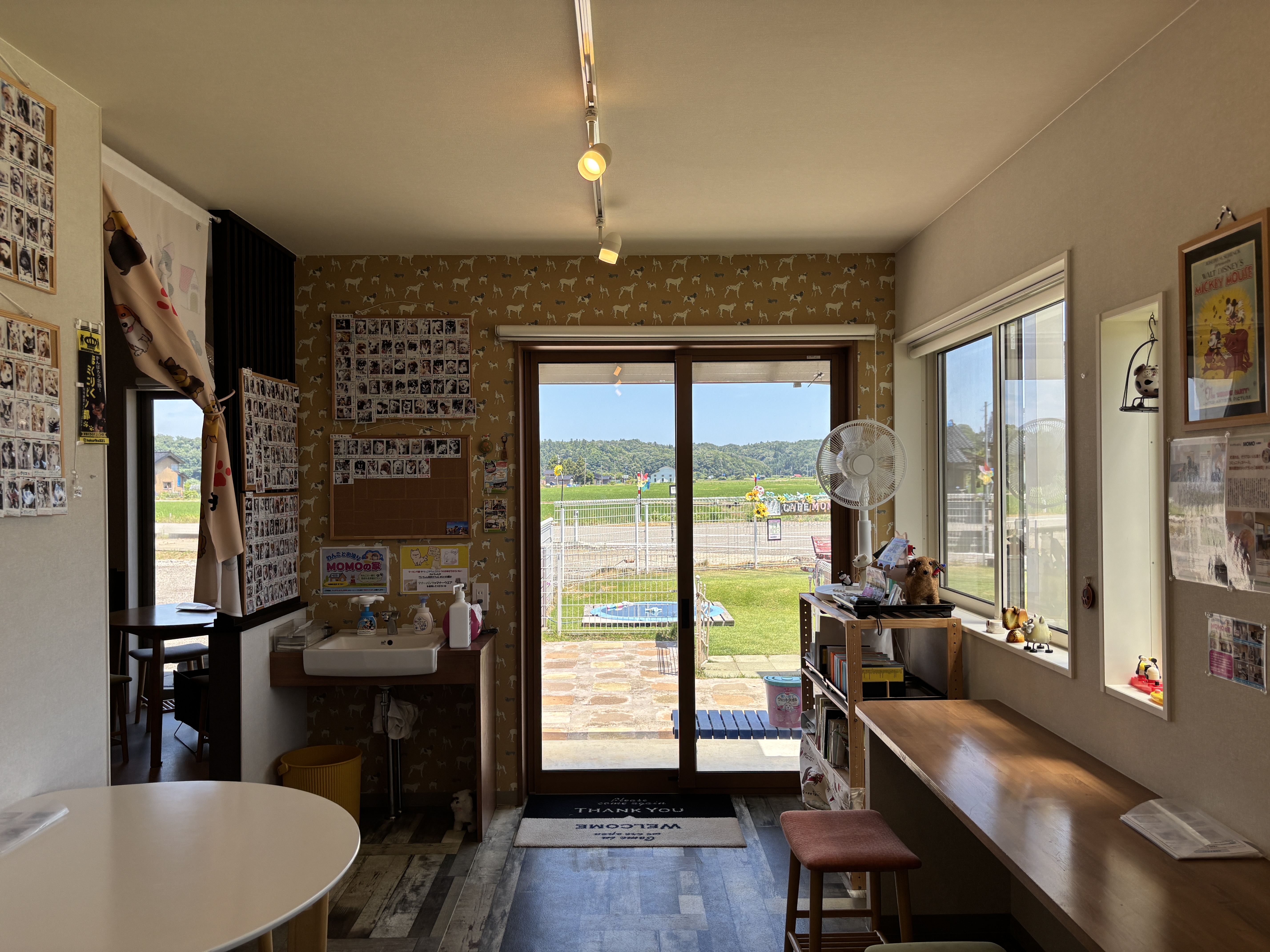 わんちゃん同伴カフェ2