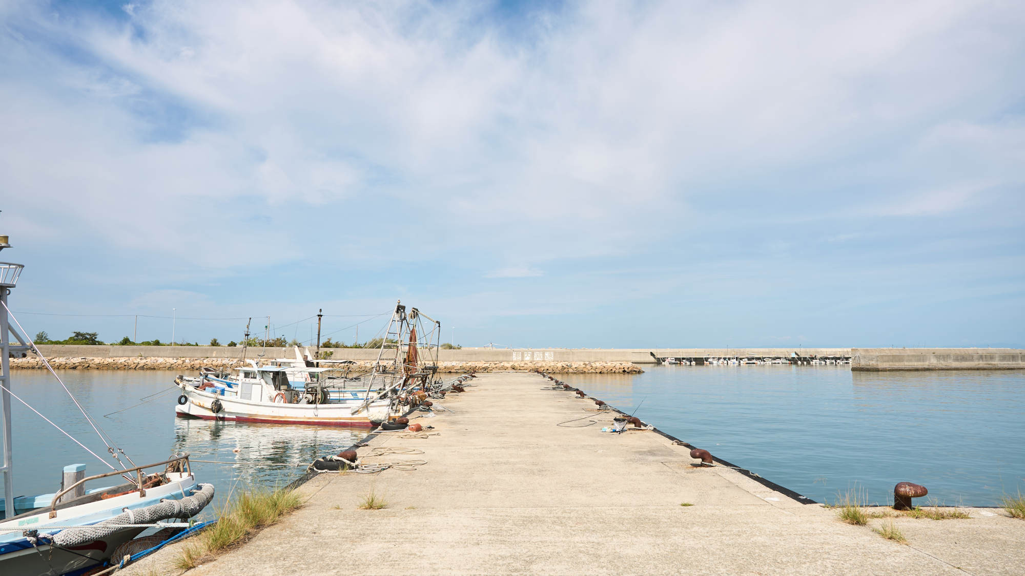 目の前の港で、のんびりと釣りを楽しめます。穏やかな波音と潮風に癒されるひとときを。
