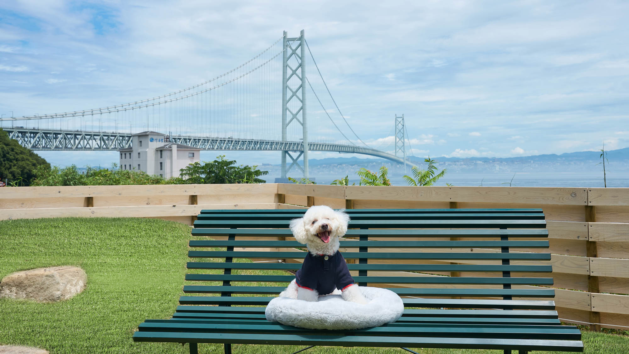 愛犬と、いつも通りに寄り添える旅を