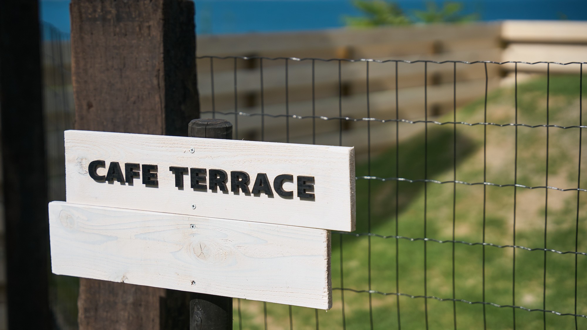 カフェテラス：共用ドッグラン