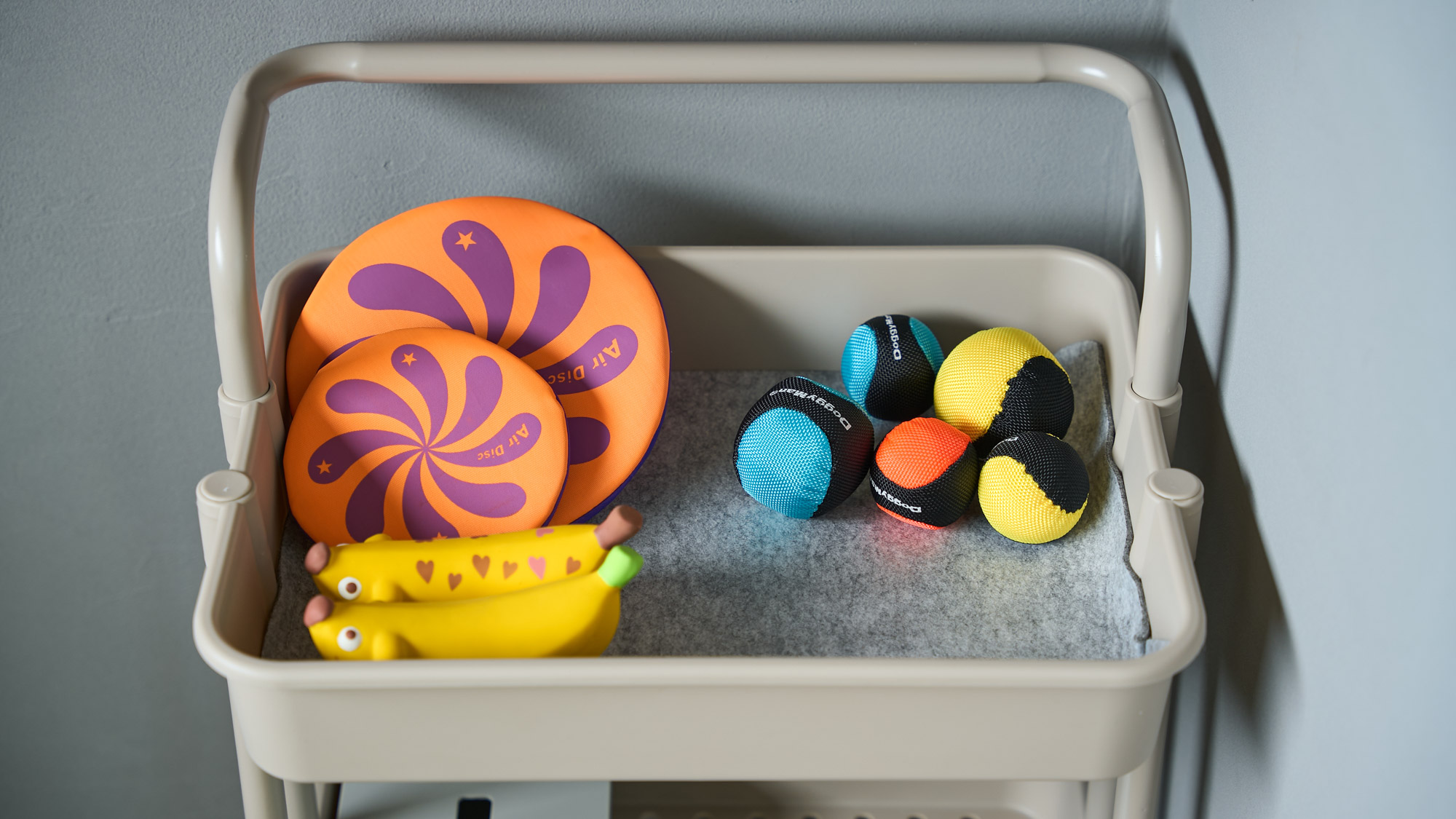 共用ドッグラン：おもちゃ