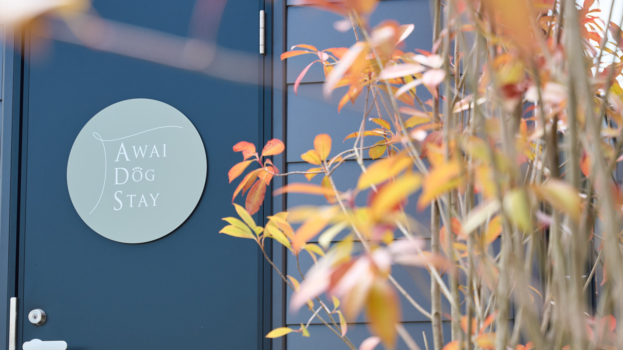 カフェテラス外観