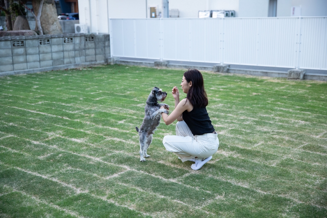 【2泊以上連泊10％オフ】ペットと一緒に寝られるプラン☆1頭分料金込み　2頭目以降別途5000円/泊