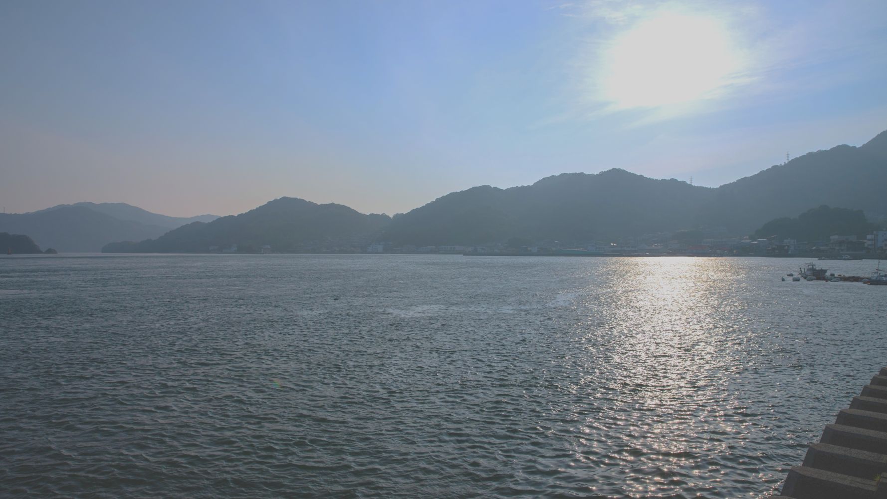 海