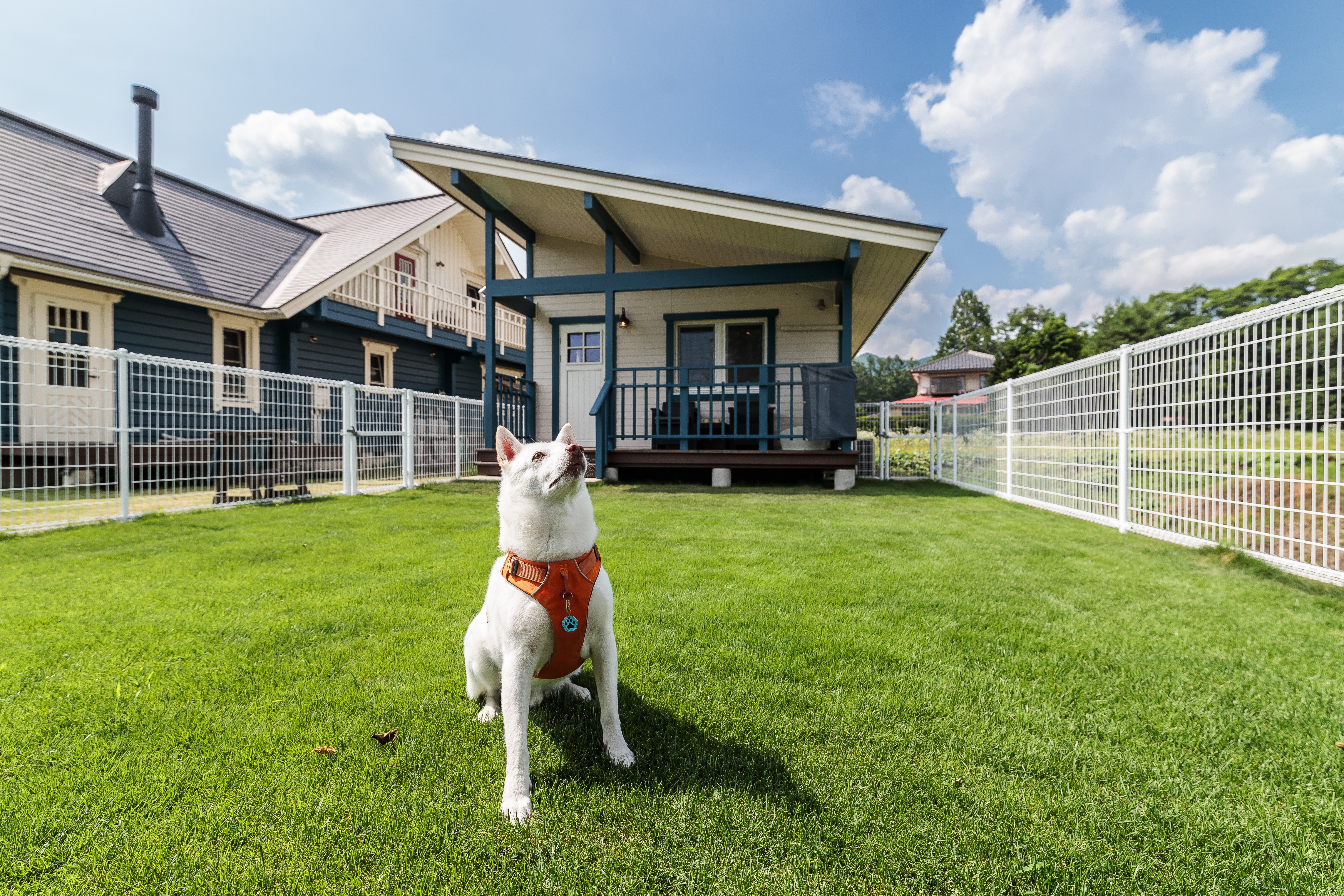 一棟貸し（４５㎡）のコテージは、リビングダイニングキッチン＋寝室＋天然芝のドッグラン付きの１LDKタイプ。最大５名様までお泊りいただけます。食材や調味料を持ち込んでの調理も可能。また事前のご予約でお食事の用意も出来ます。