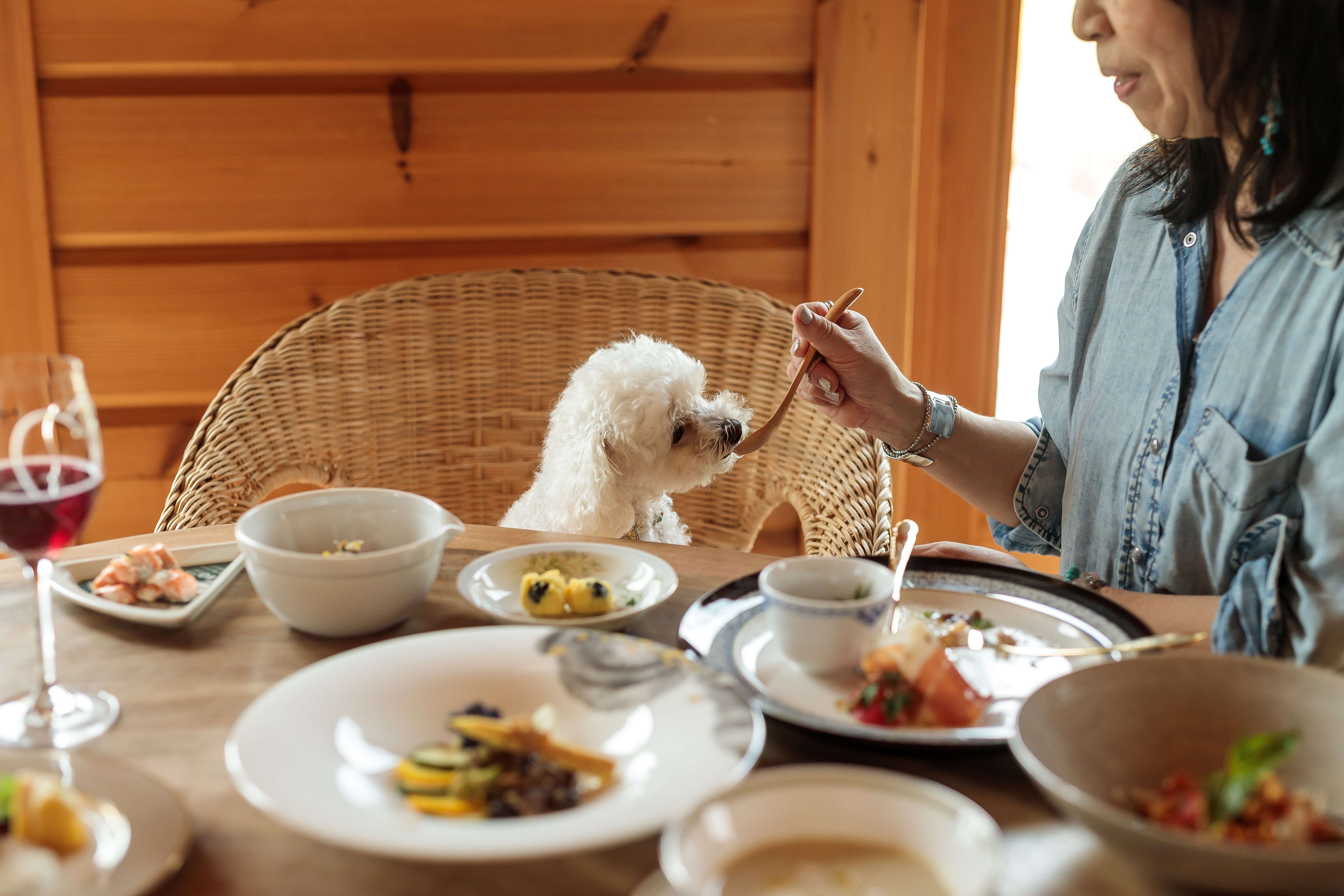 愛犬は家族　同じテーブルでお食事をお楽しみください。愛犬ごはんもご用意できます。