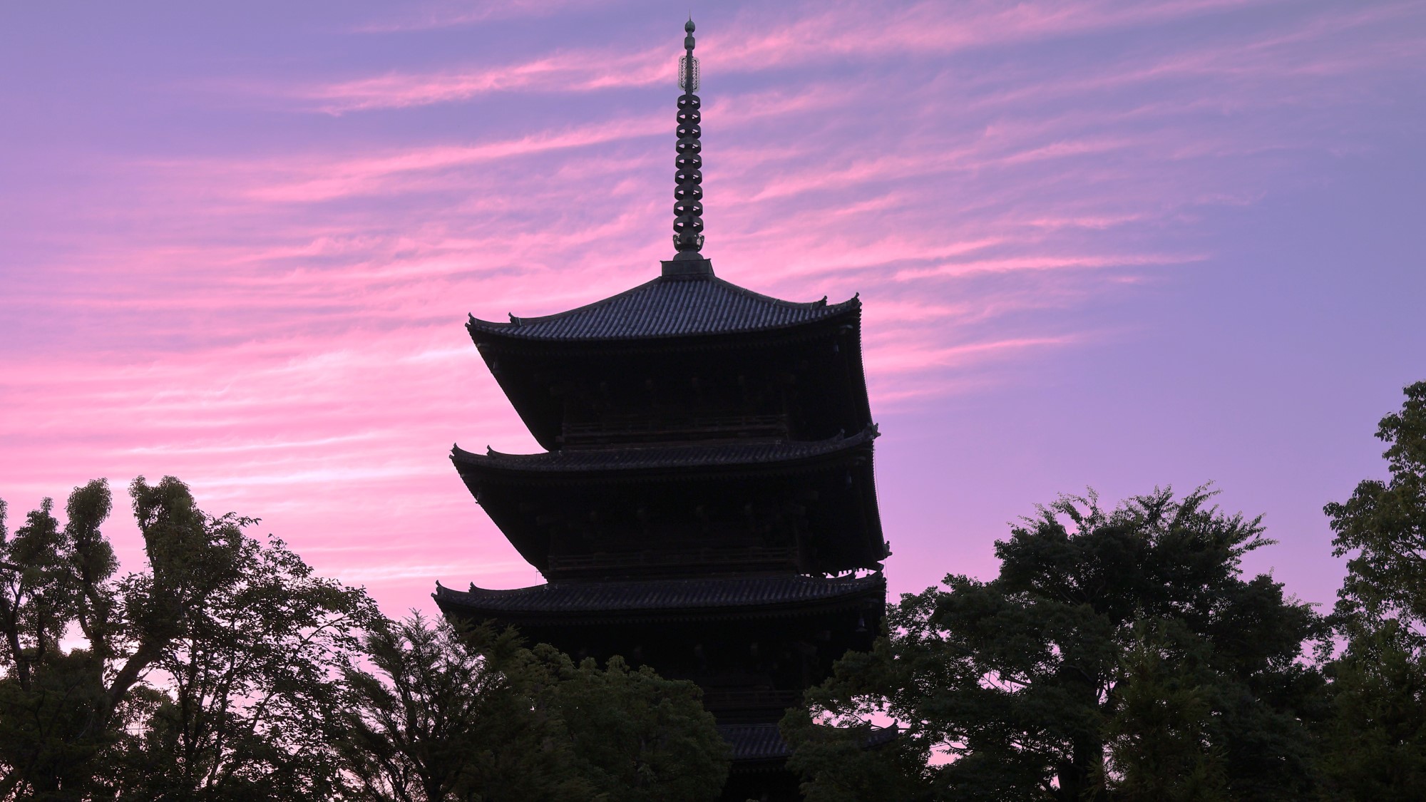 東寺（夏の夜）