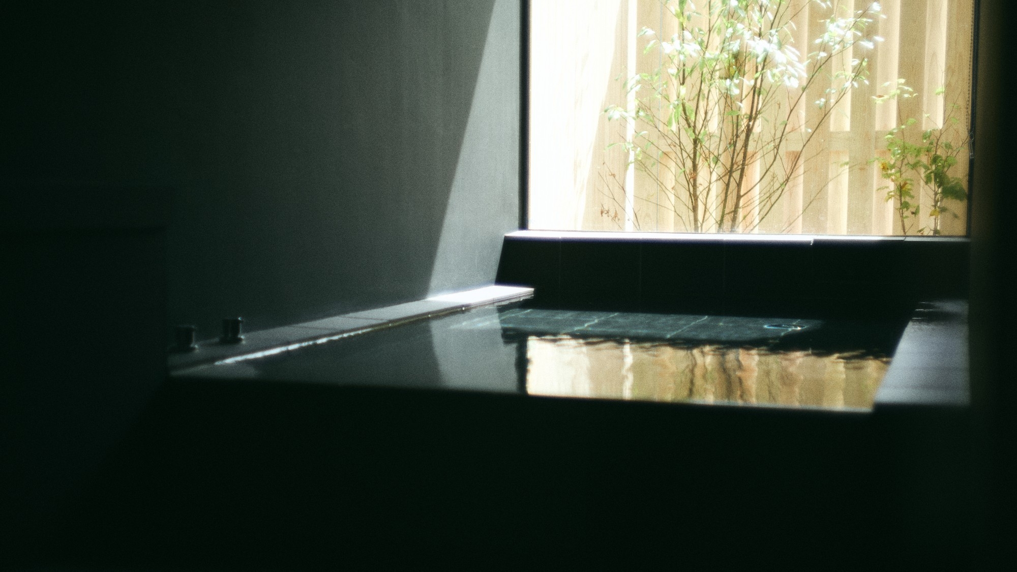 【春SALE】【スタンダードプラン】※お食事なし