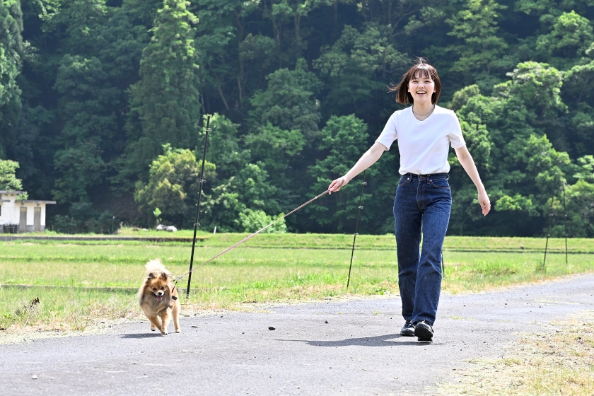愛犬との宿泊におすすめ！「わんだふるプラン」