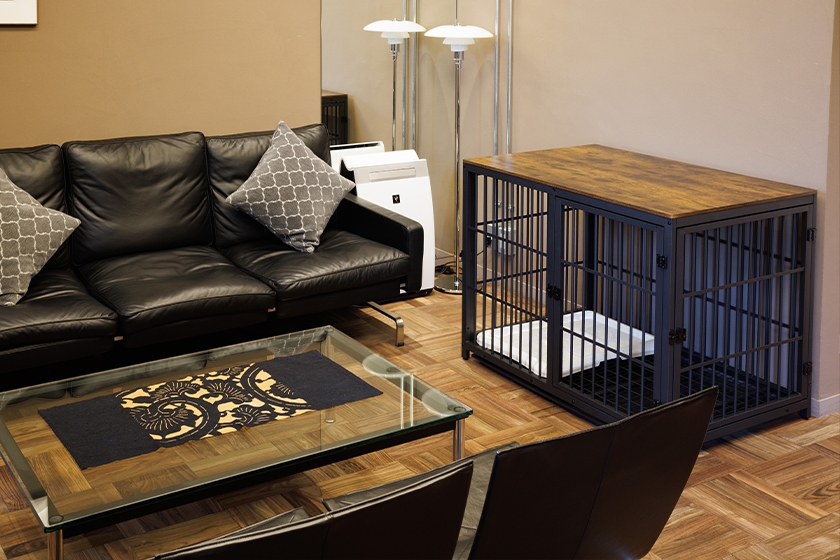 愛犬との宿泊におすすめ！「わんだふるプラン」