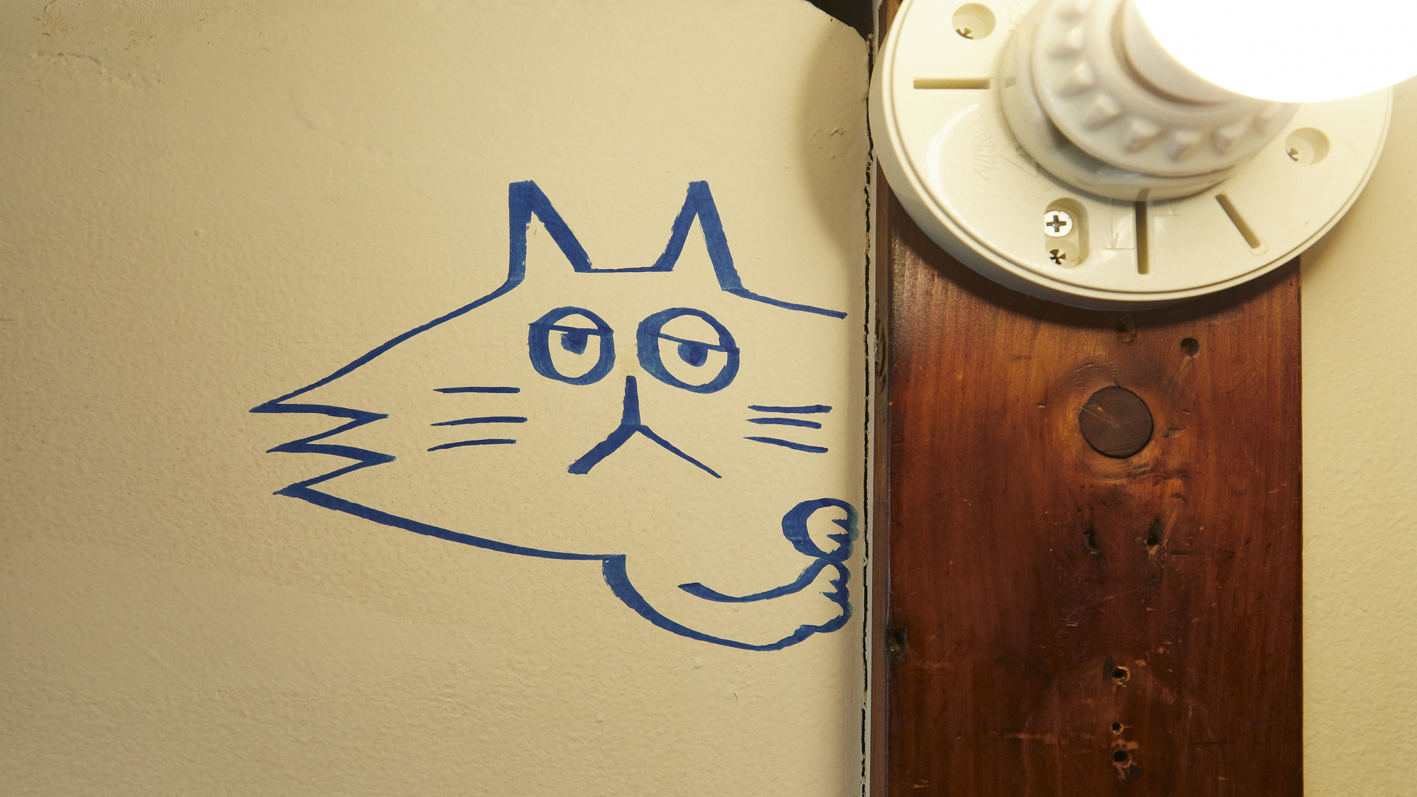 ポップな雰囲気が漂います