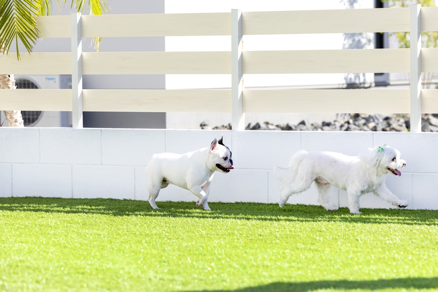 【3〜4名様限定：愛犬1頭までOK！】海辺DEさんぽ♪一棟貸切の癒しプラン