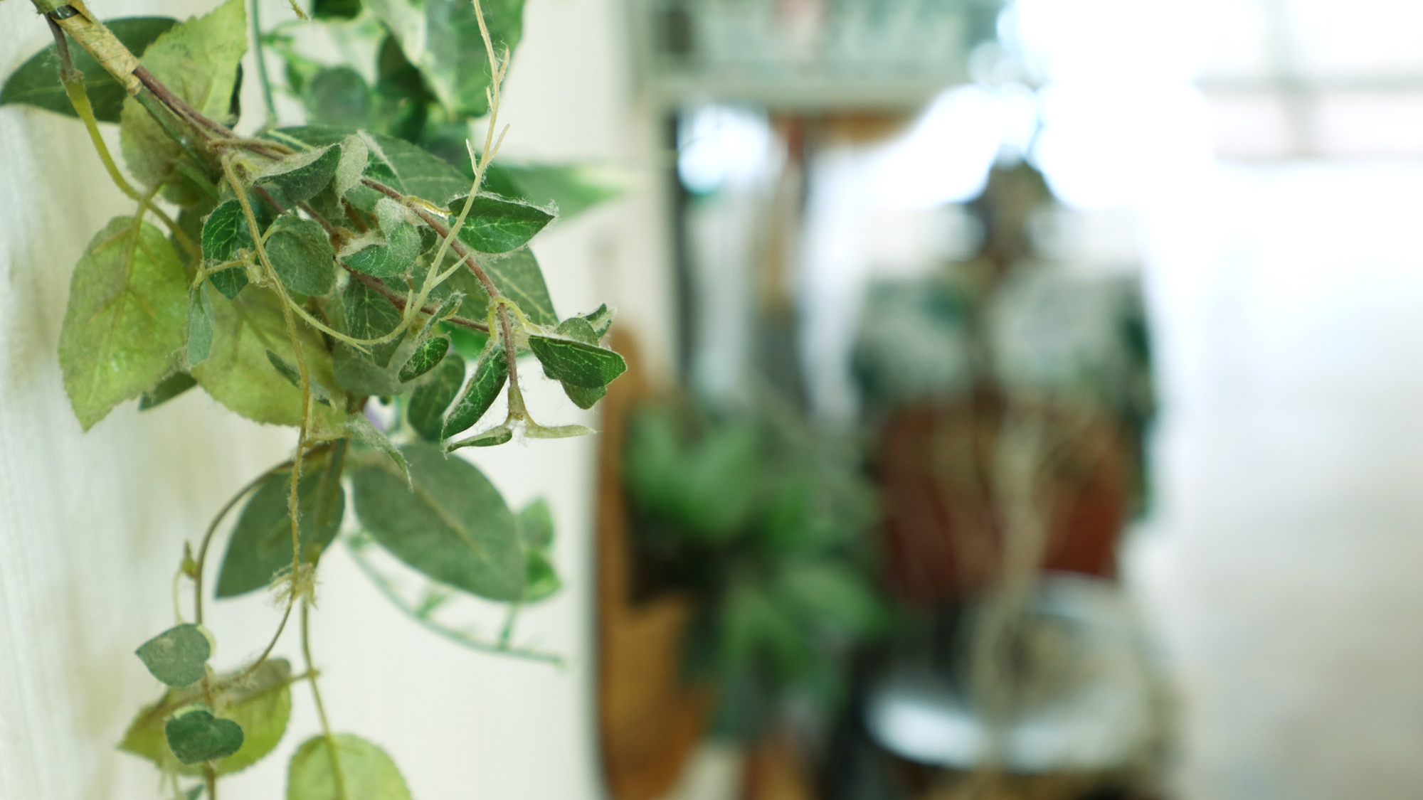 館内◆宿の名の通り、館内のいたるところに緑が！*