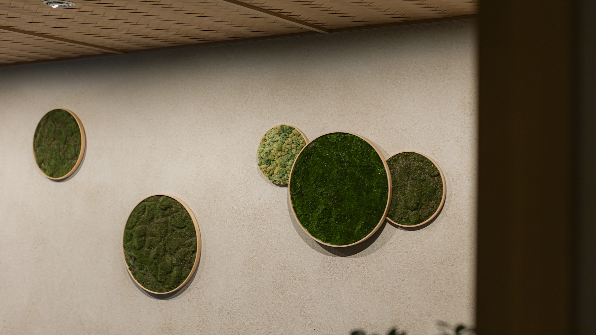 フロント（装飾）