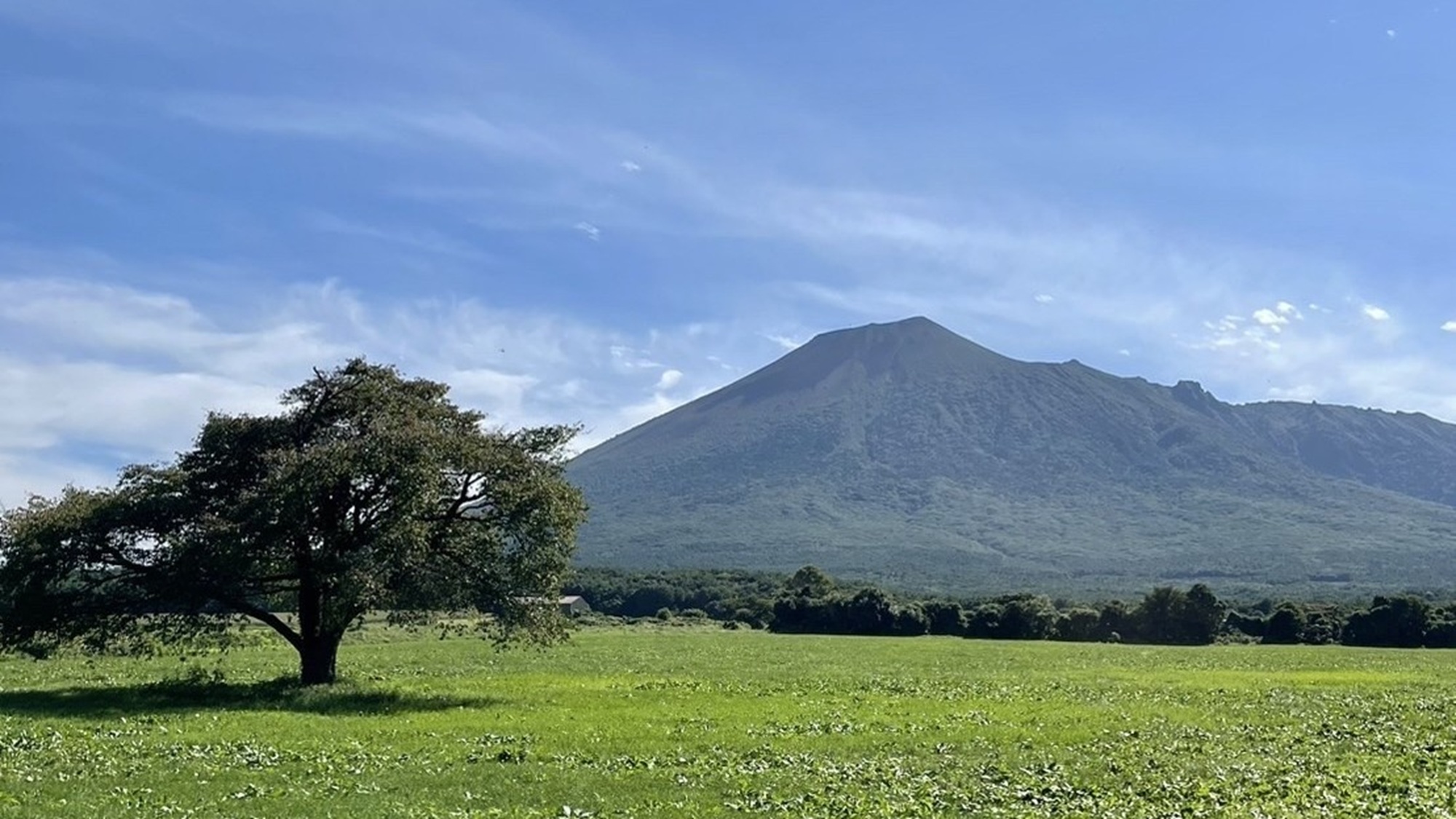夏・岩手山と上坊牧野の一本桜