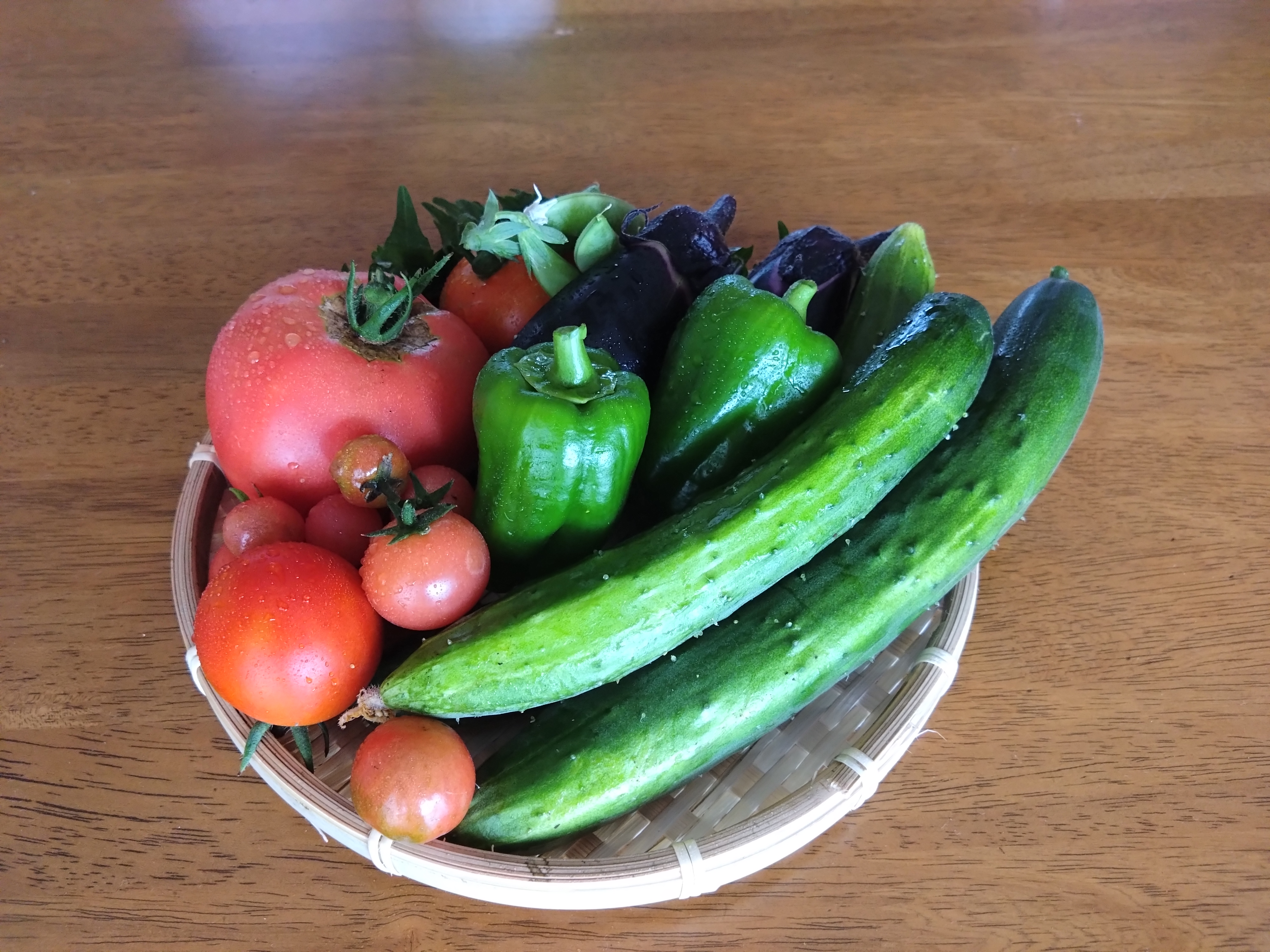 収穫した野菜たち