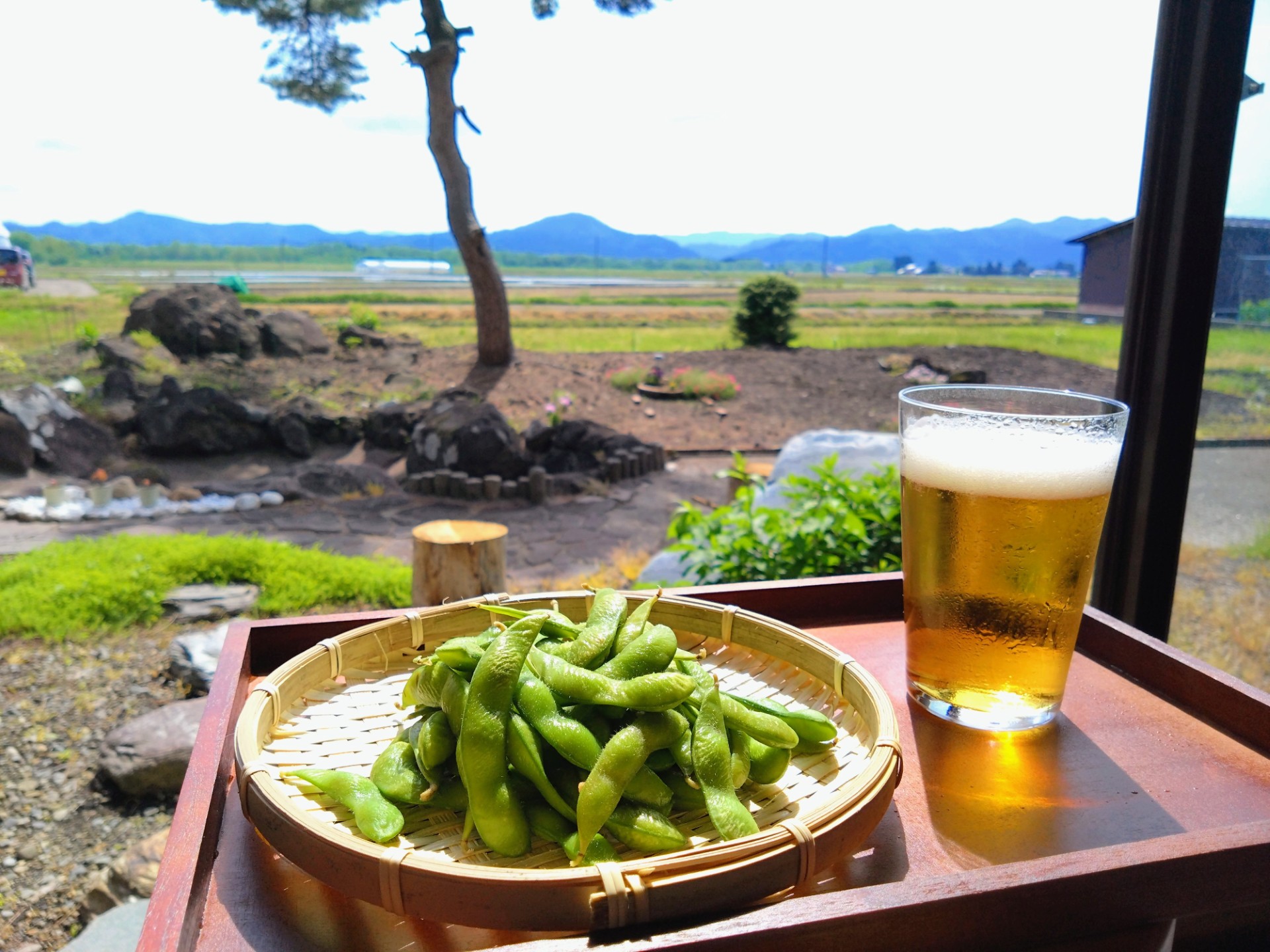 枝豆とBeer
