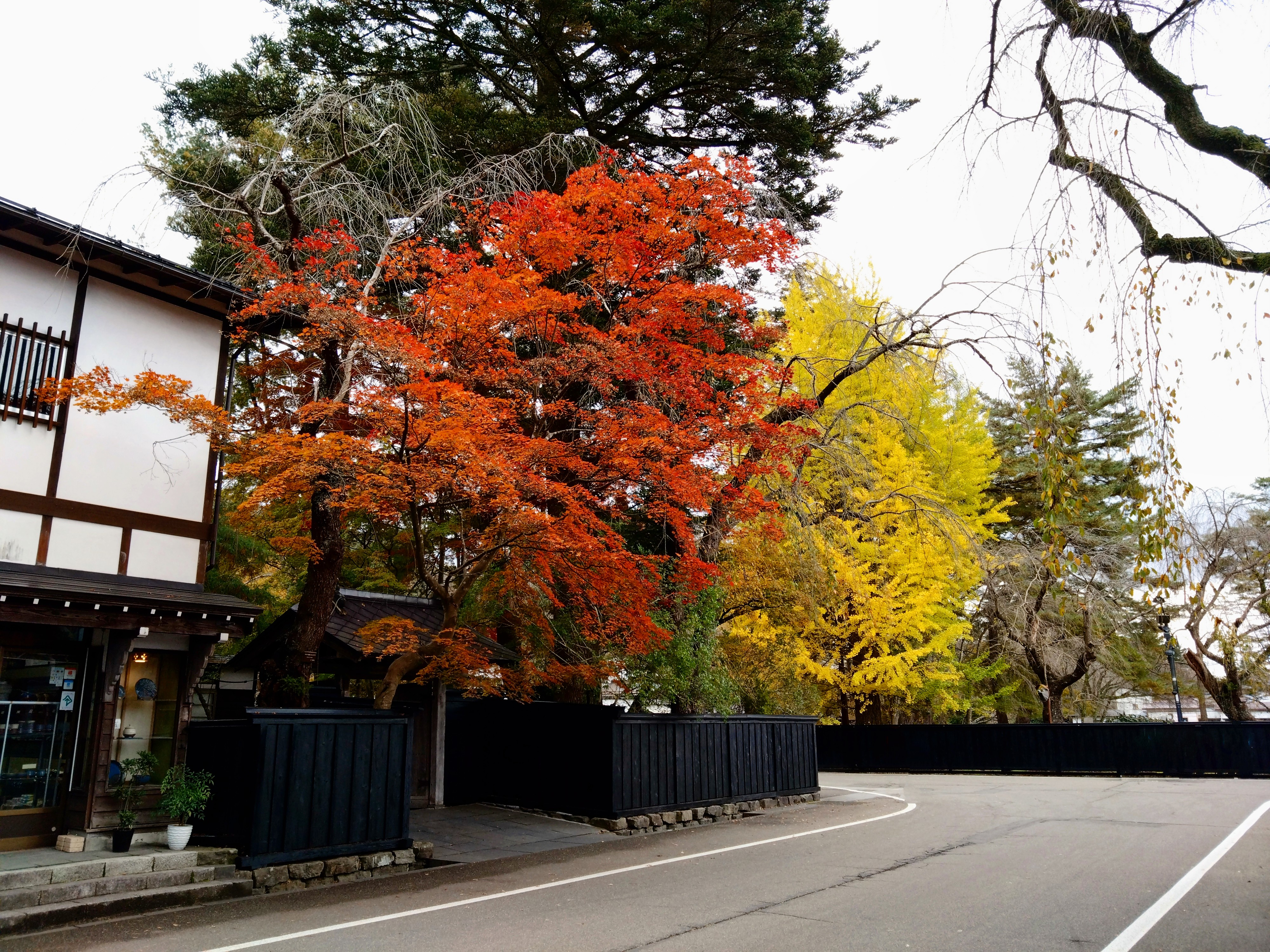 秋：武家屋敷通り紅葉