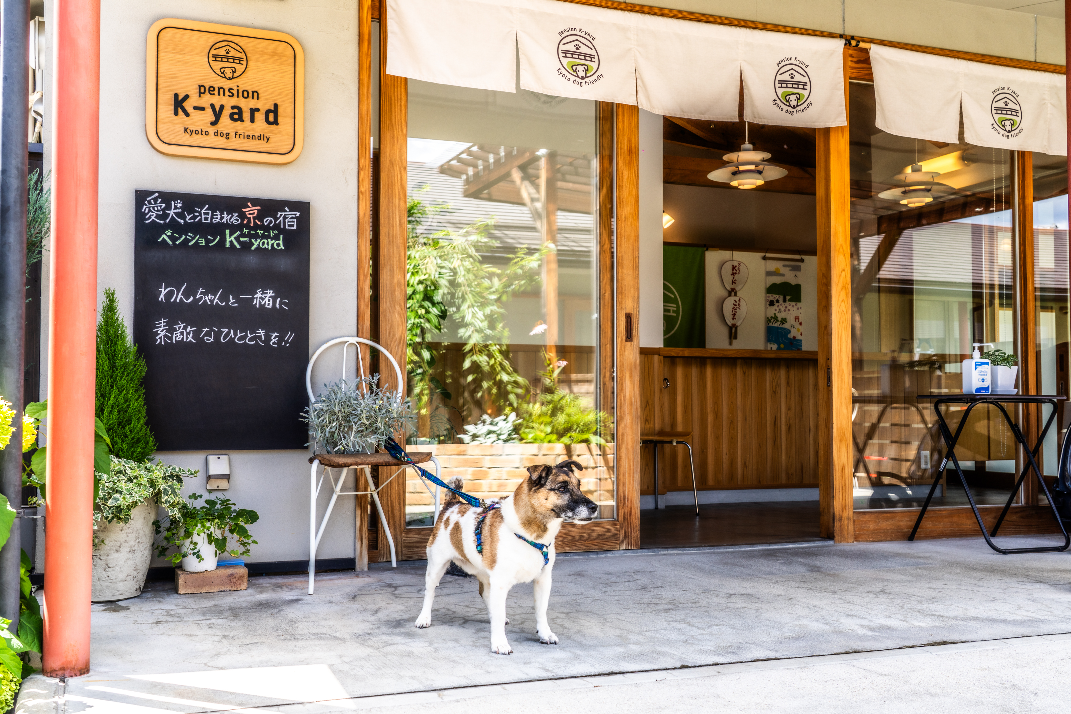 愛犬と泊まれる京の宿『ペンションK-yard』へようこそ
