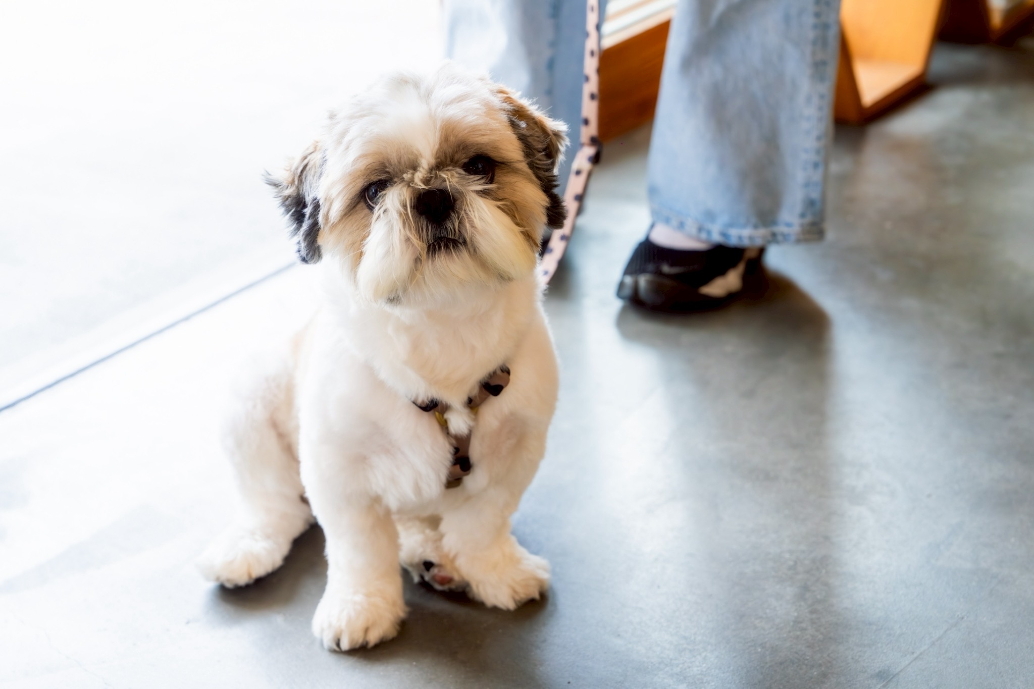 いらっしゃいませ♪