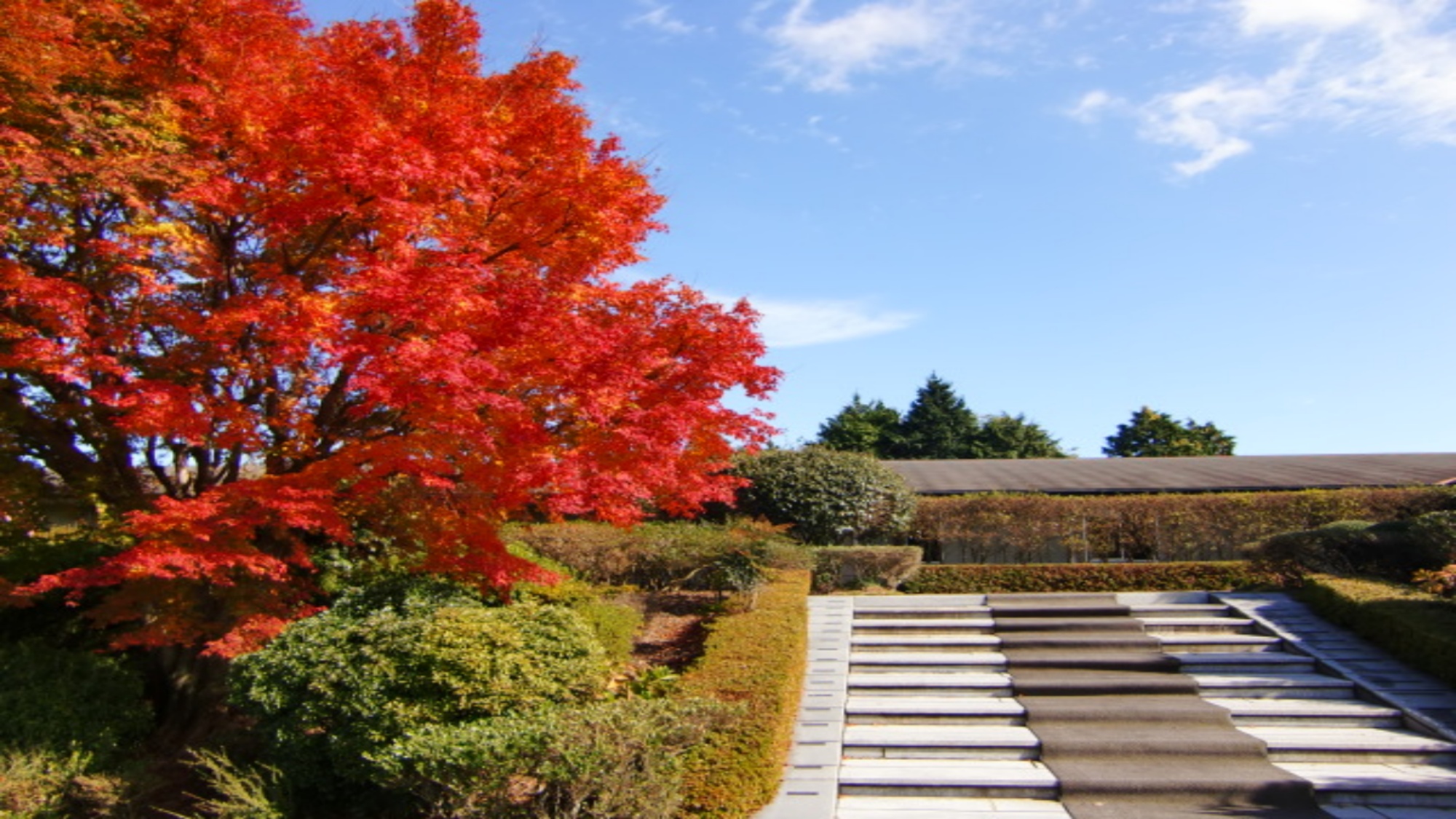 四季を楽しめるホテル玄関前♪