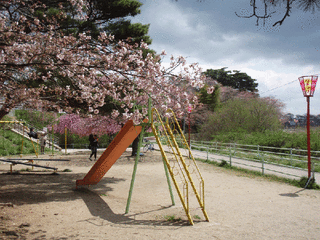 館前の公園と遊歩道