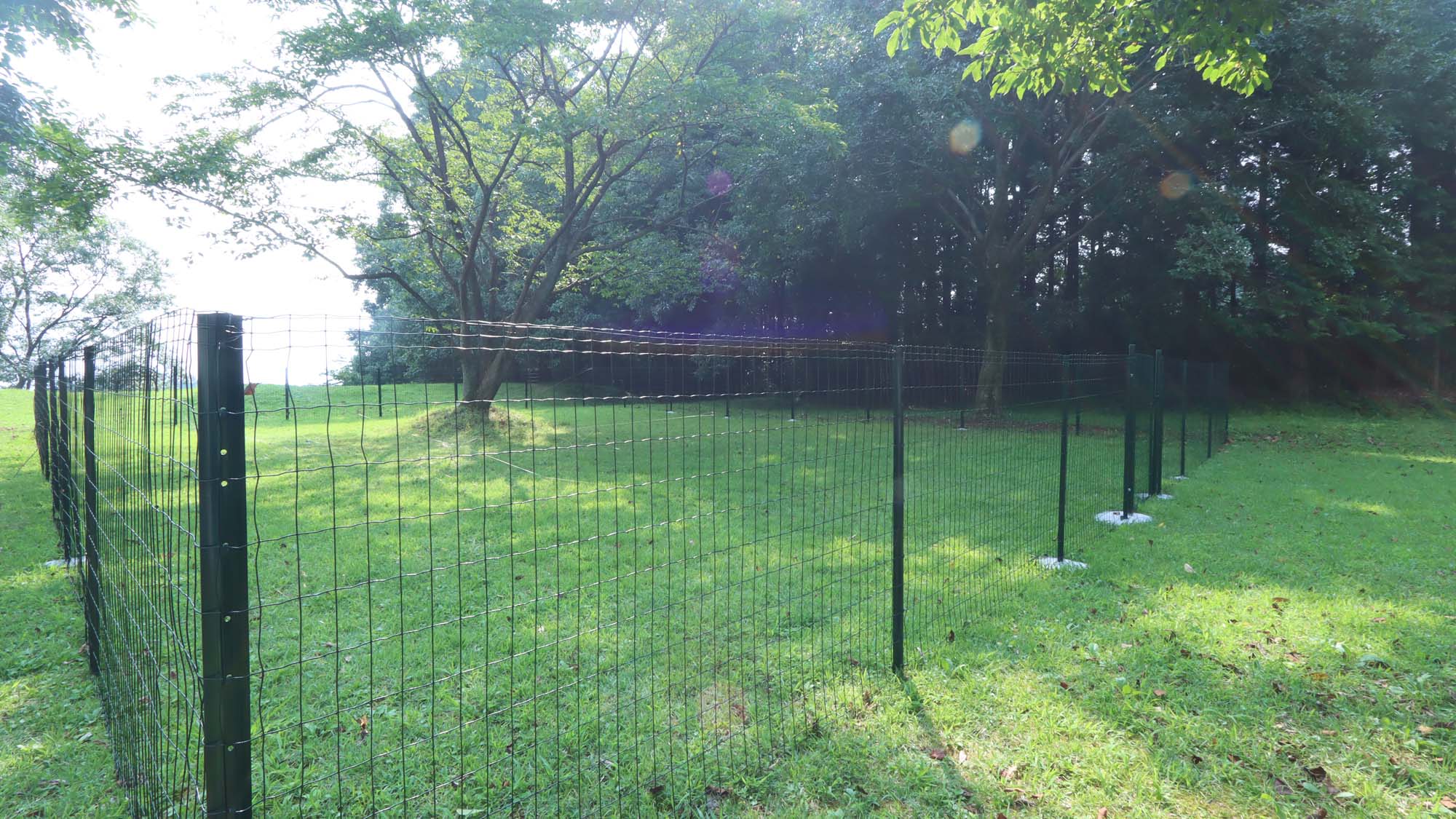 ≪ドッグラン≫開放的なドッグラン