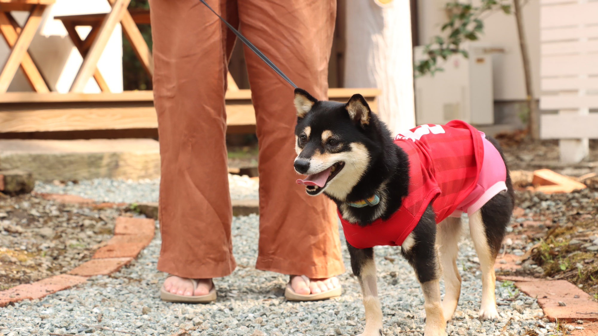 ≪ドッグラン≫ペット同伴できます