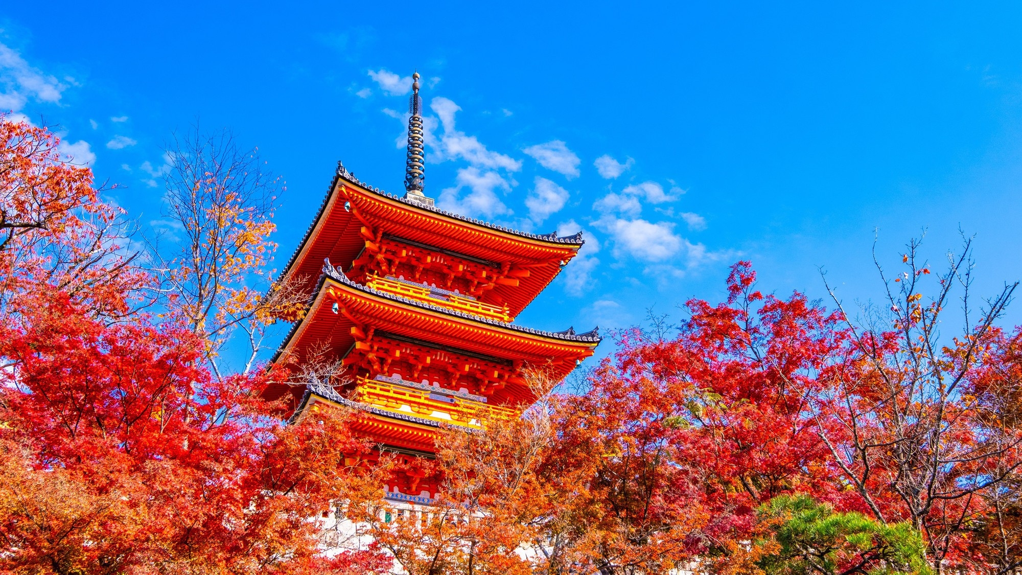 清水寺の三重塔と紅葉