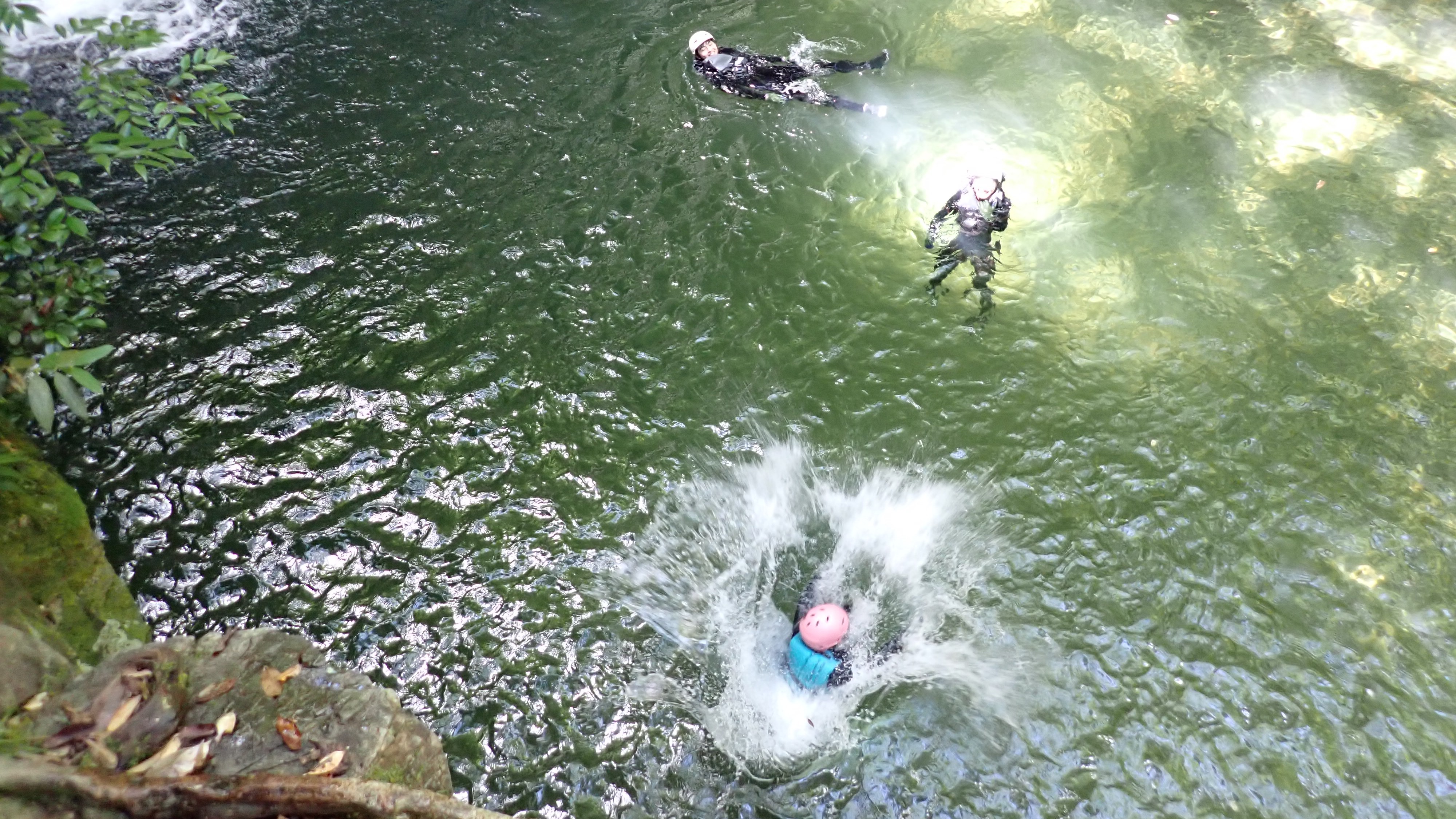 ジャングル冒険アドベンチャー（アクティビティー付き）