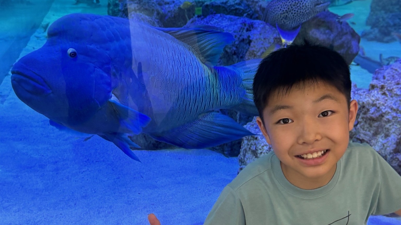 楽しいご旅行の様子！