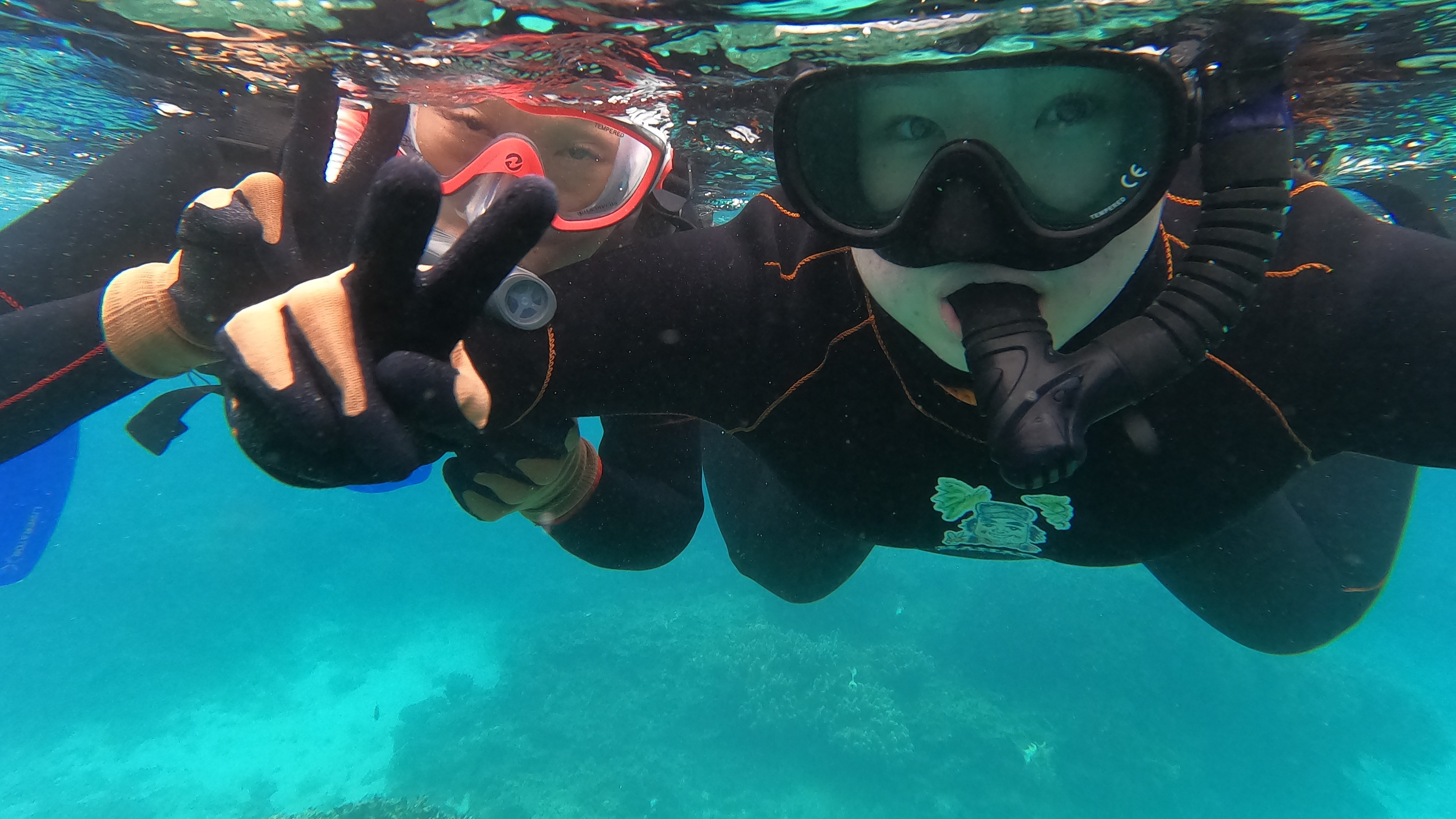 青の洞窟シュノーケル（アクティビティー付き）