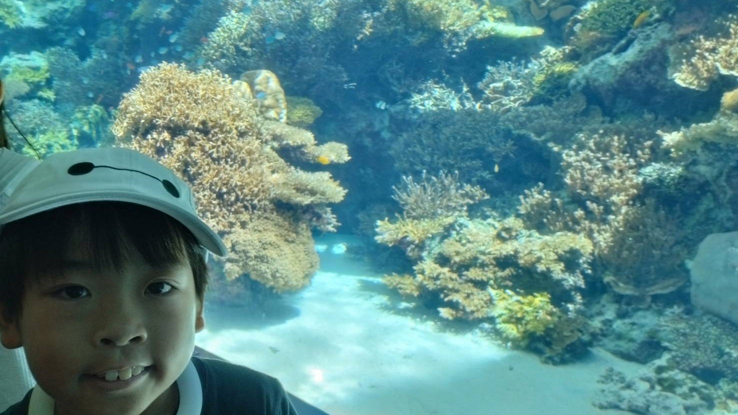 楽しいご旅行の様子！