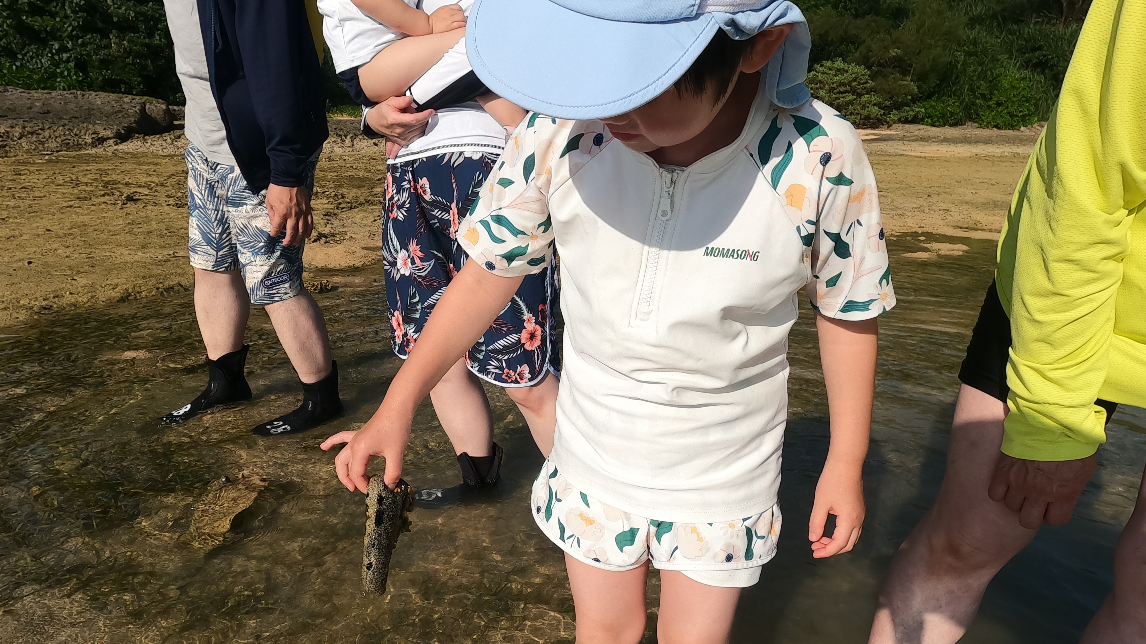 海の観察会（アクティビティー付き）