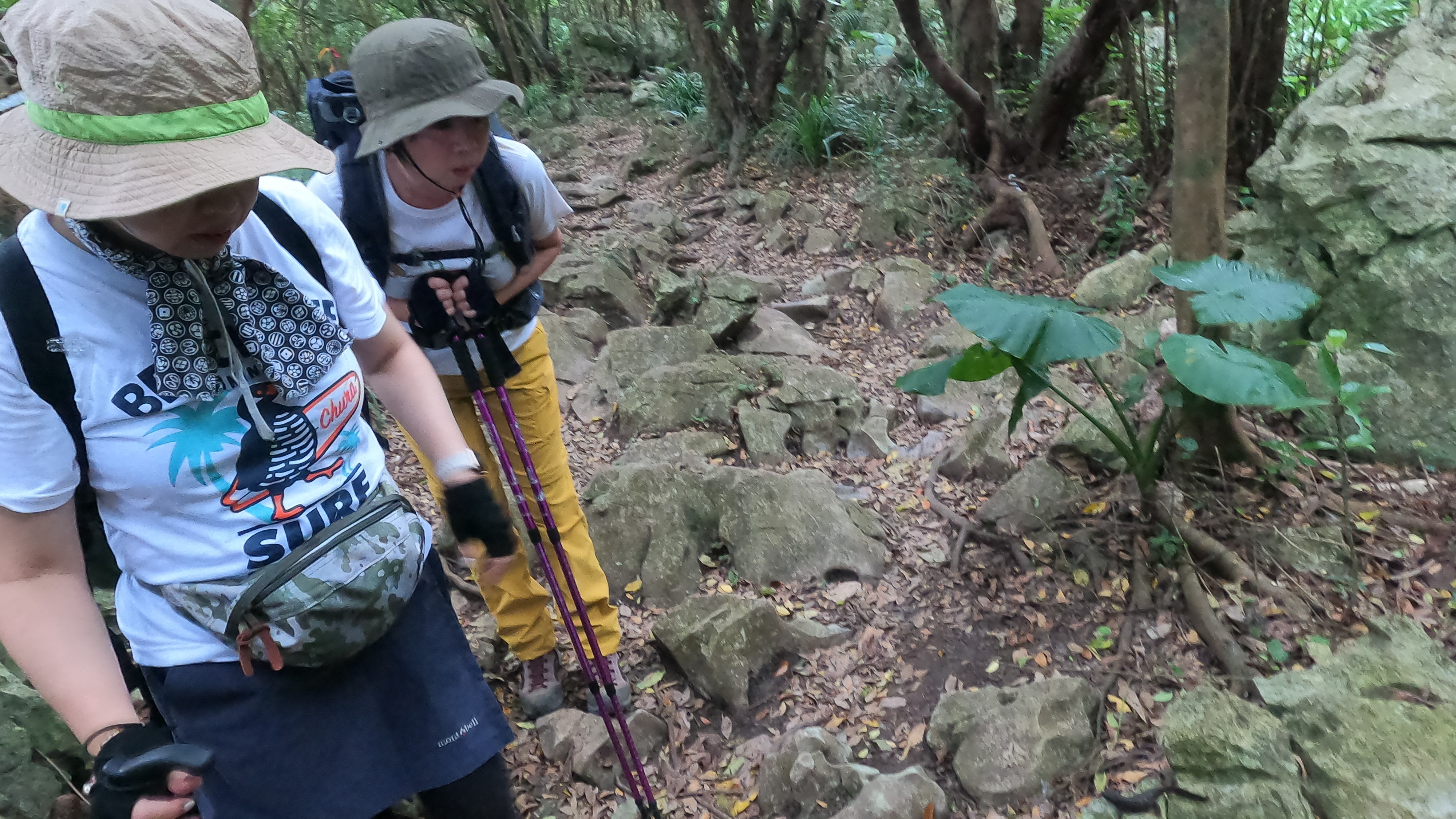 沖縄絶景の登山（アクティビティー付き）
