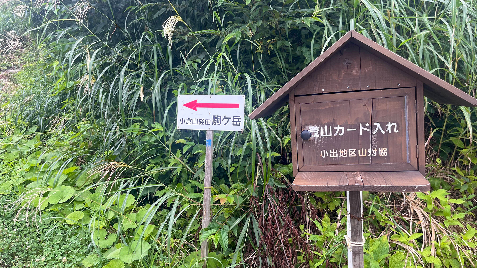 ＃登山前には、カードの記入を忘れずに！