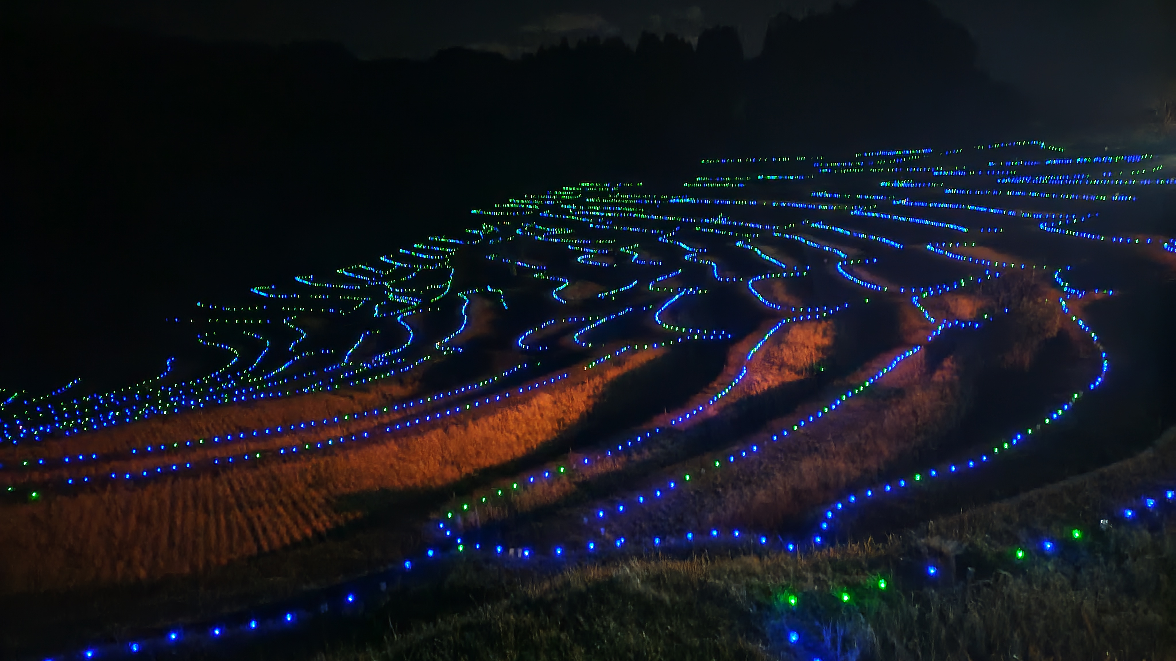 棚田のライトアップ