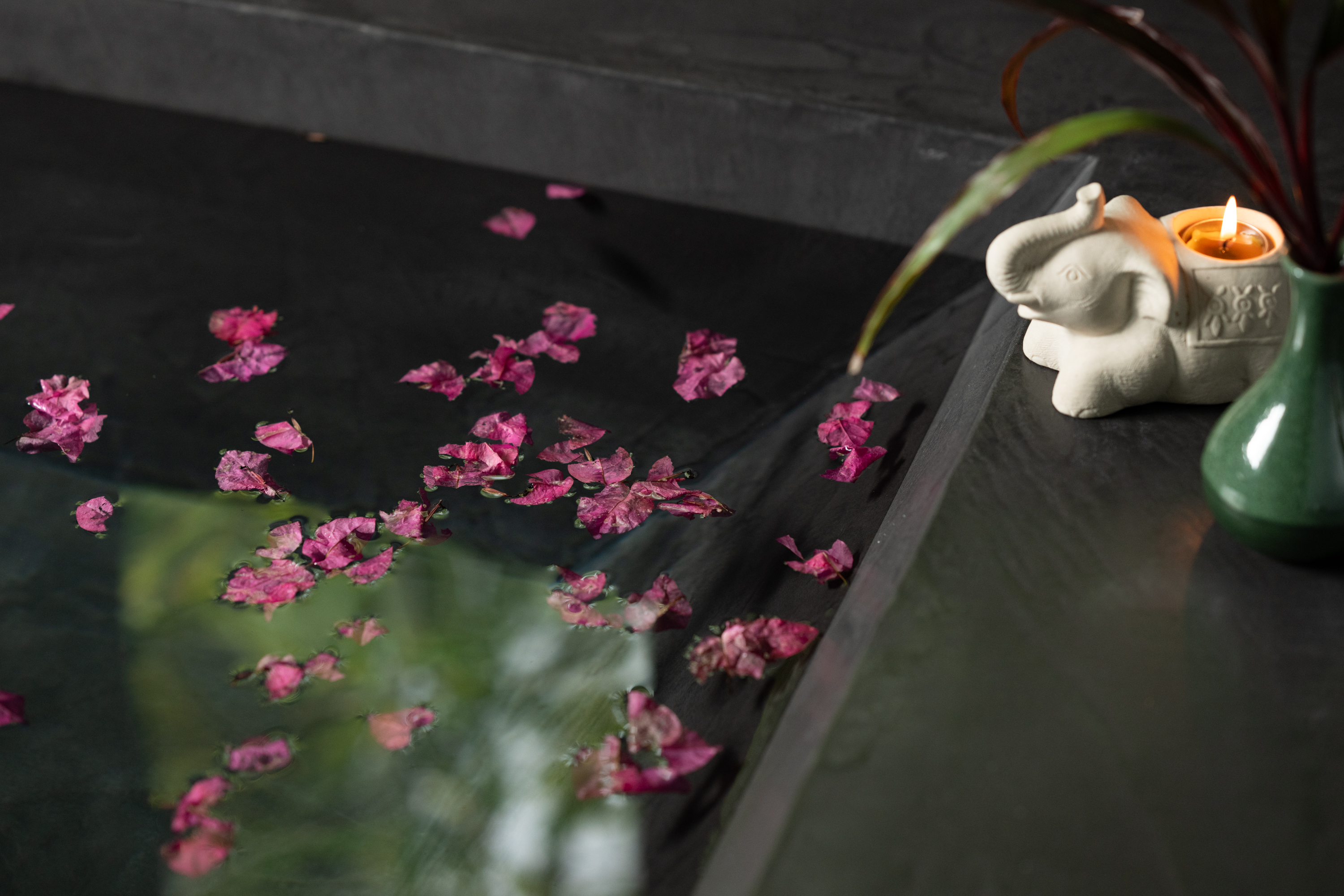 【和】自然に包まれる開放感の中で、心ほどけるひとときをお楽しみください。