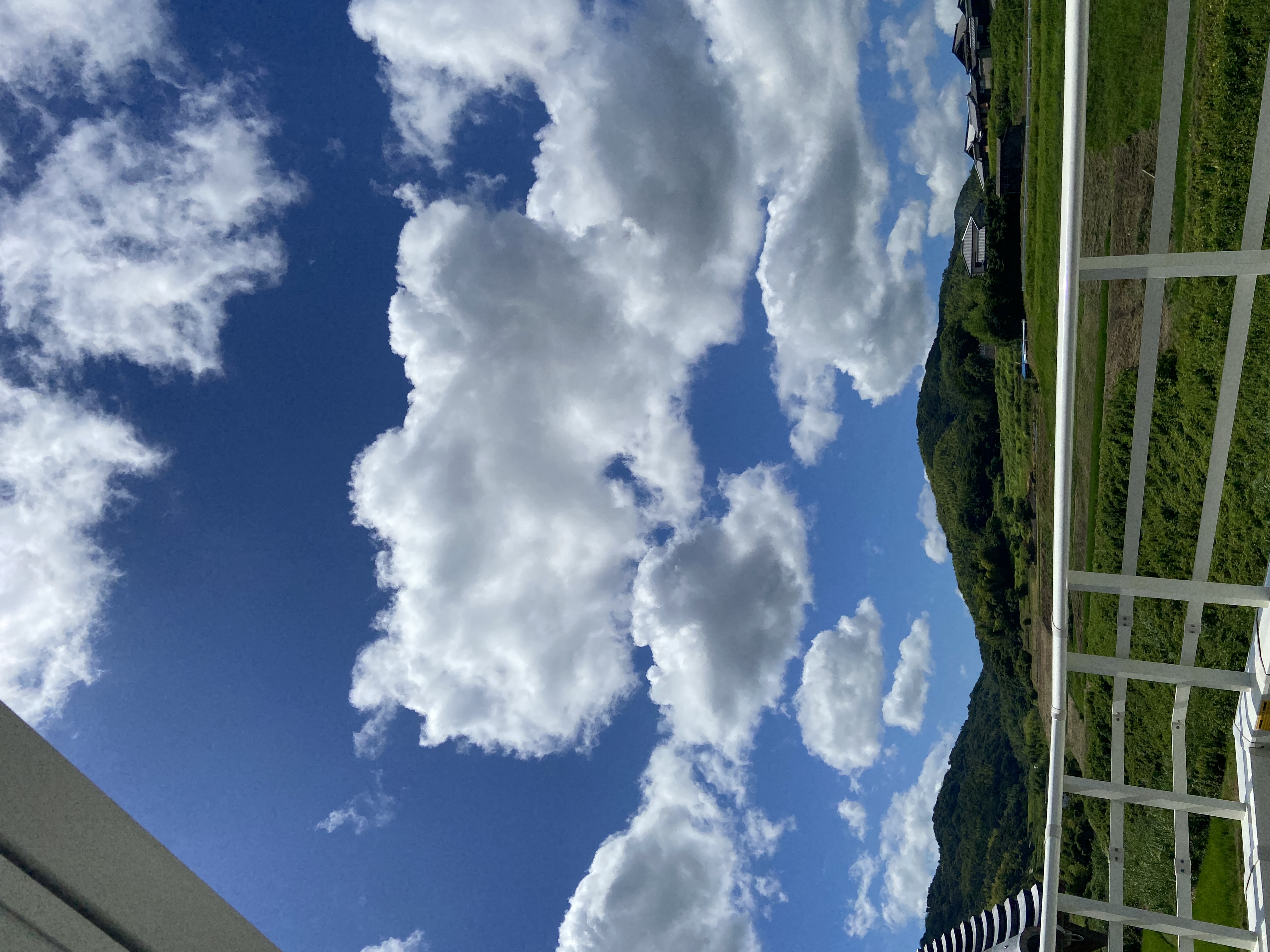 バルコニー景色