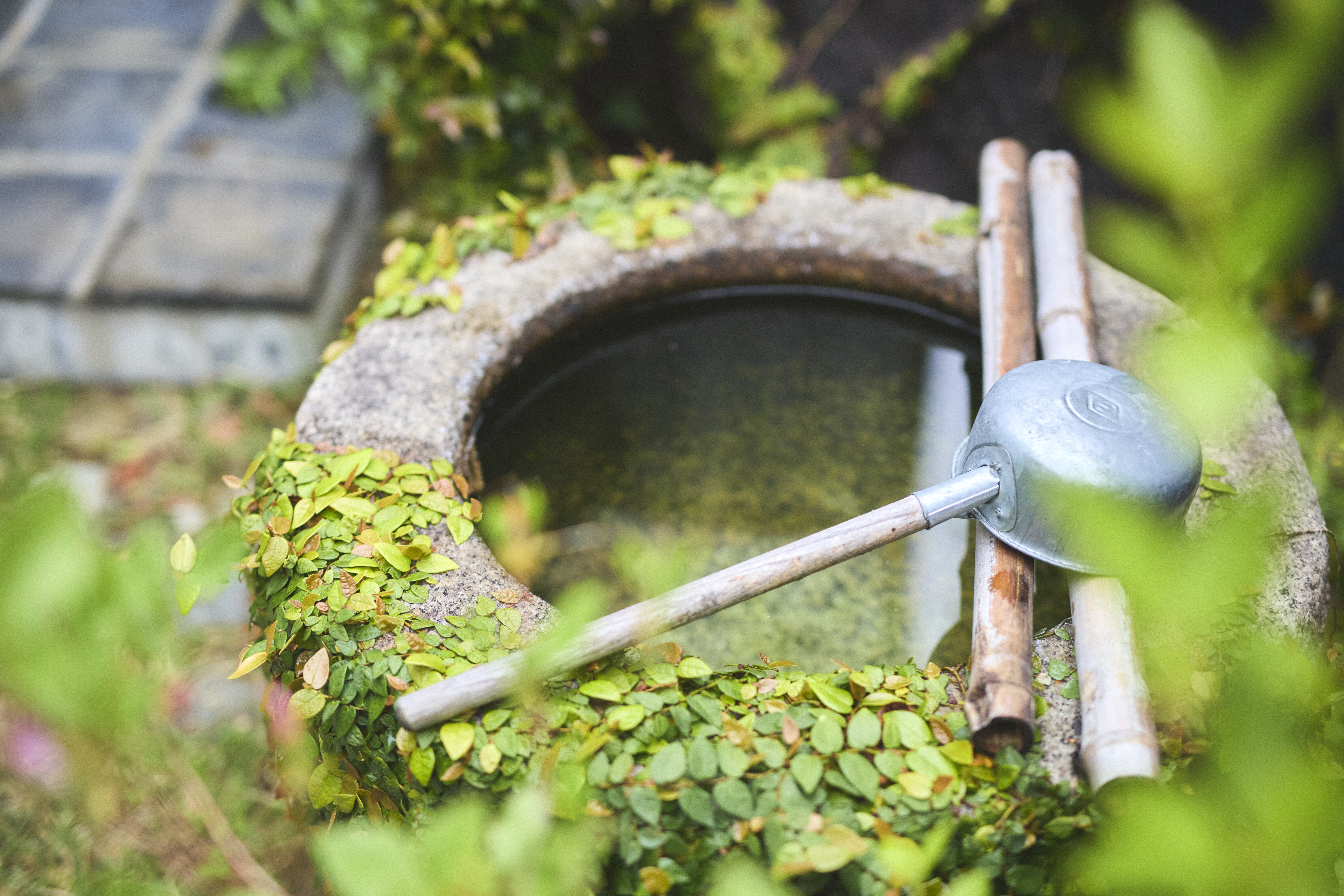 一棟貸し宿「多喜屋」　手水舎