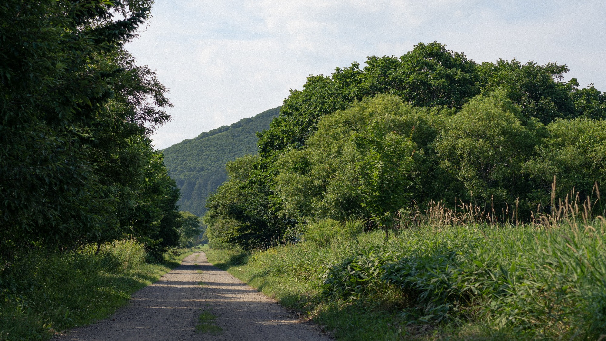 周辺景観　春～夏
