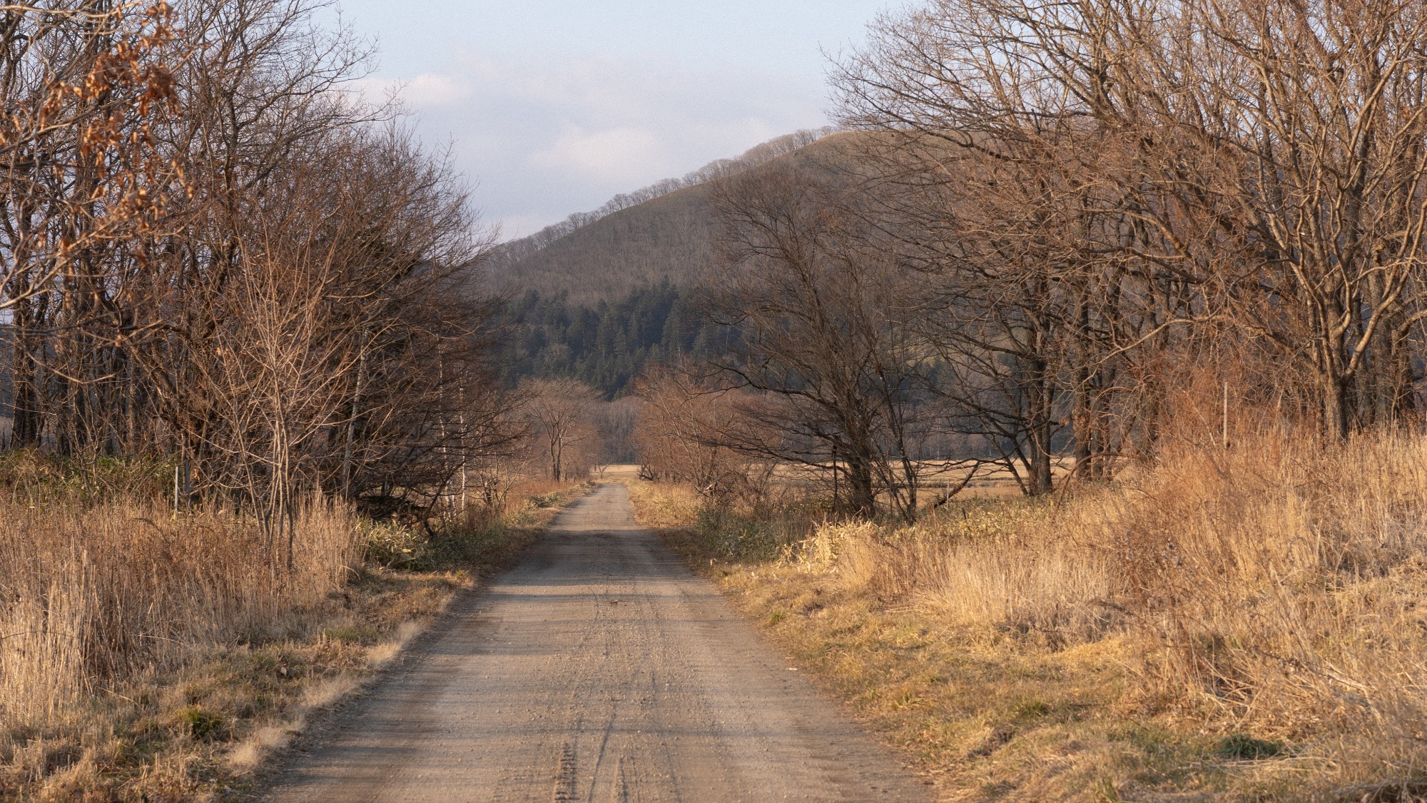 周辺景観　秋～冬