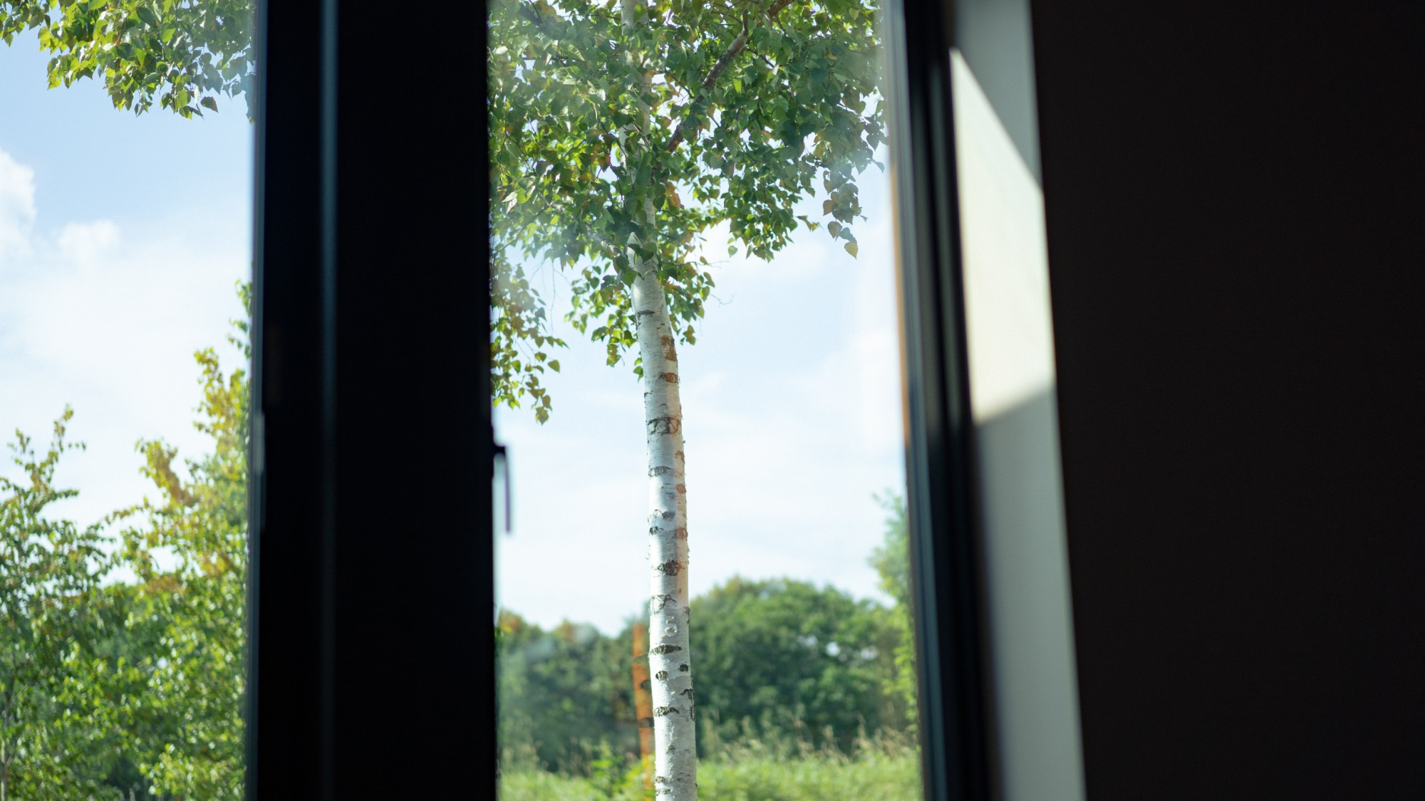 【客室】コンパクトスイート(46㎡)　※一例