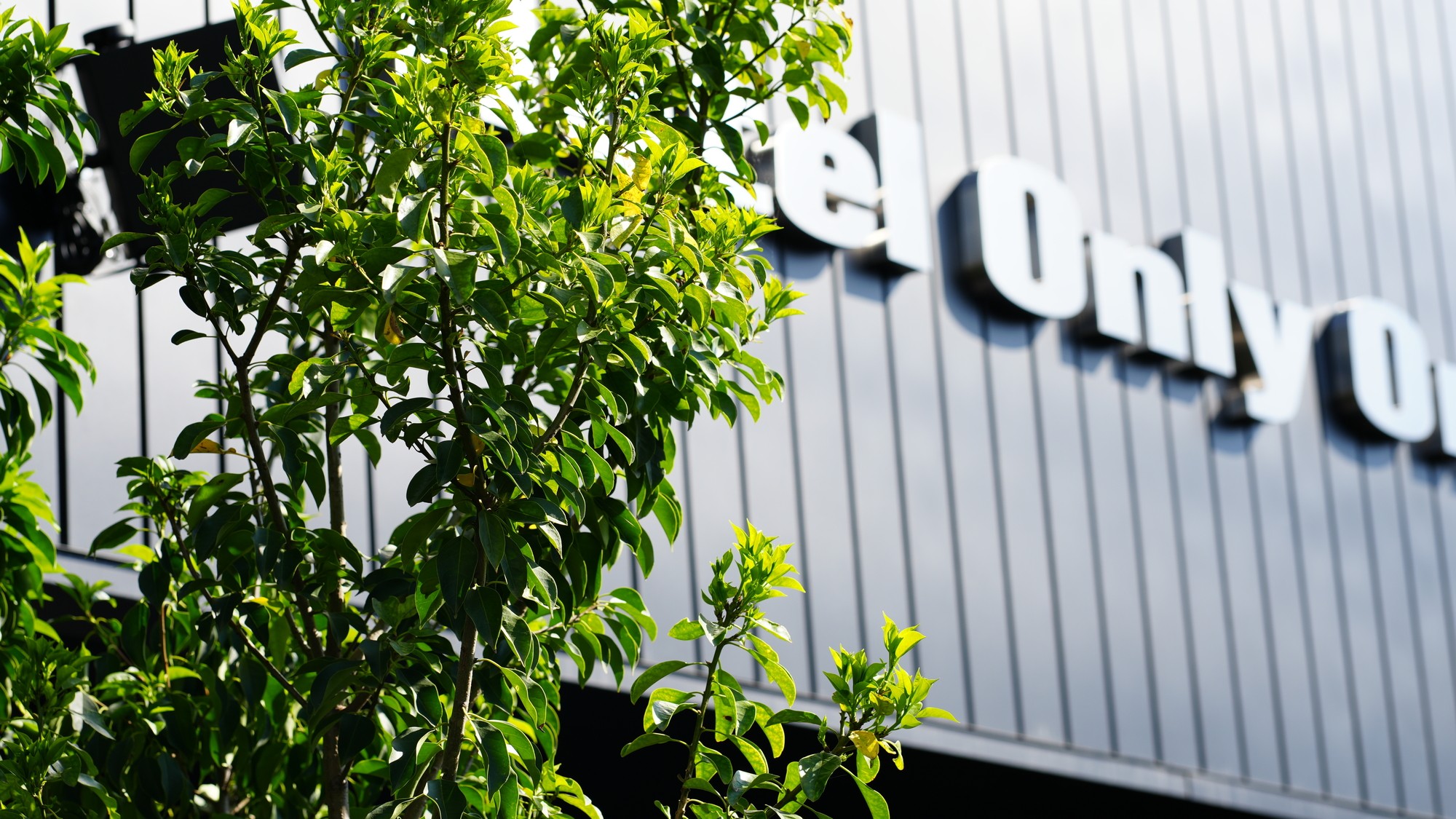 スタイリッシュな外観